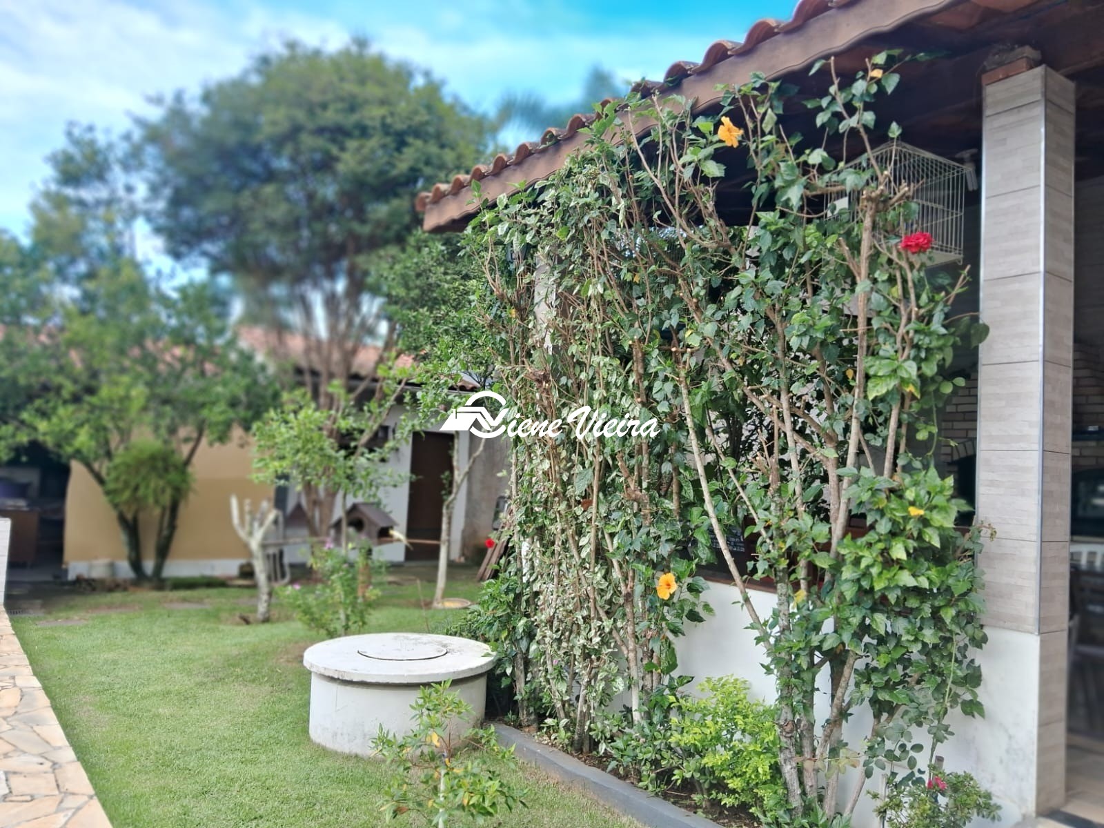 Chácara, 3 quartos, 800 m² - Foto 19