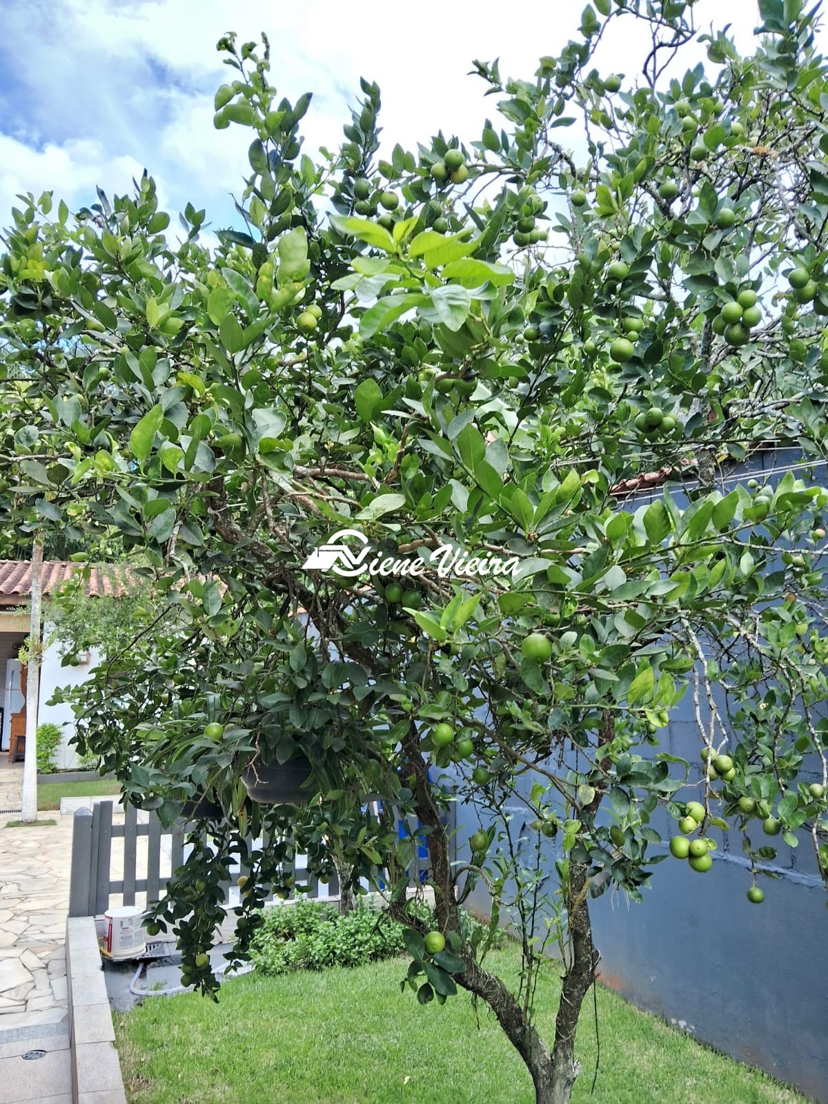 Chácara, 3 quartos, 800 m² - Foto 20