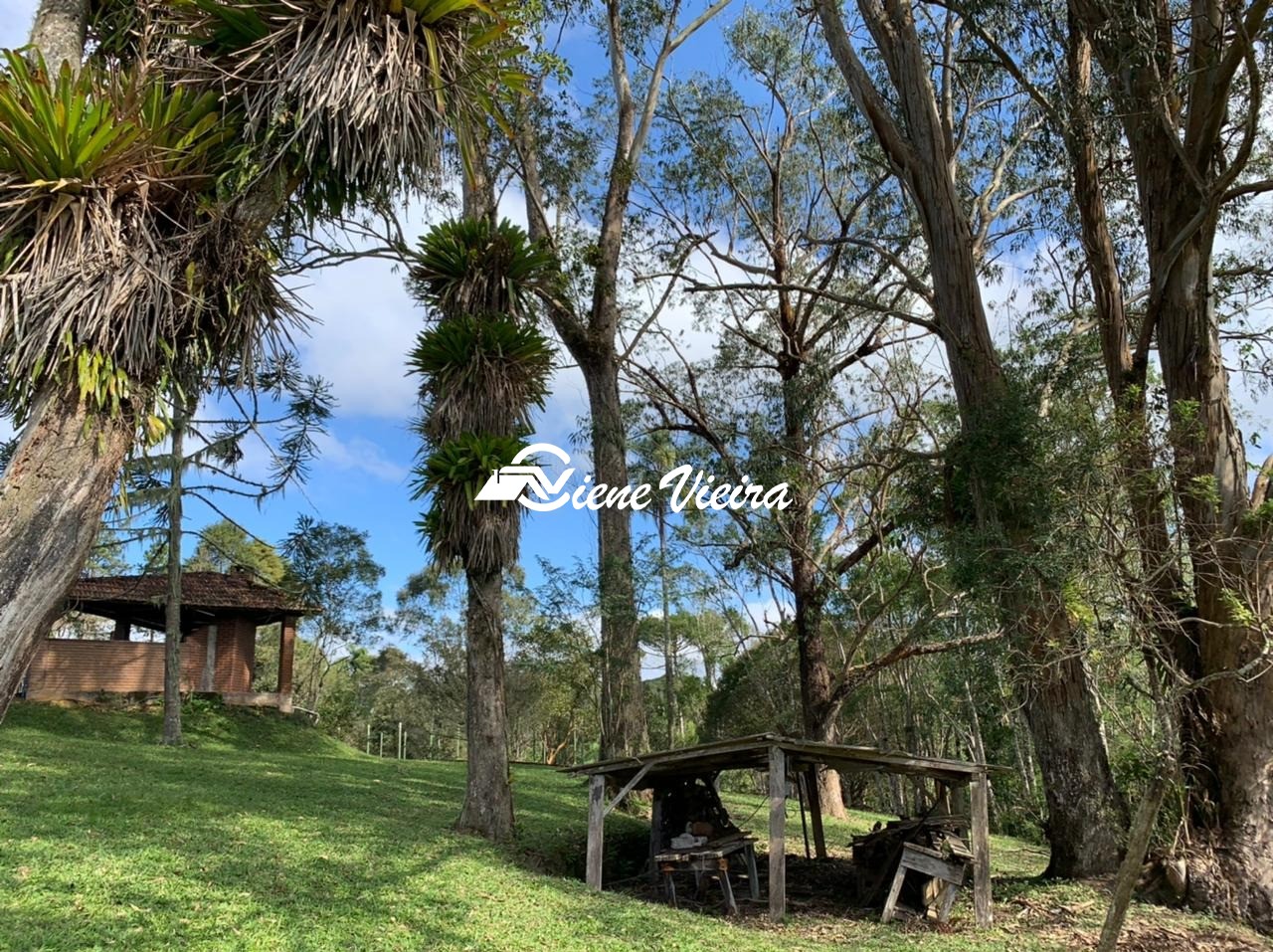 Chácara, 4 quartos, 4 hectares - Foto 12