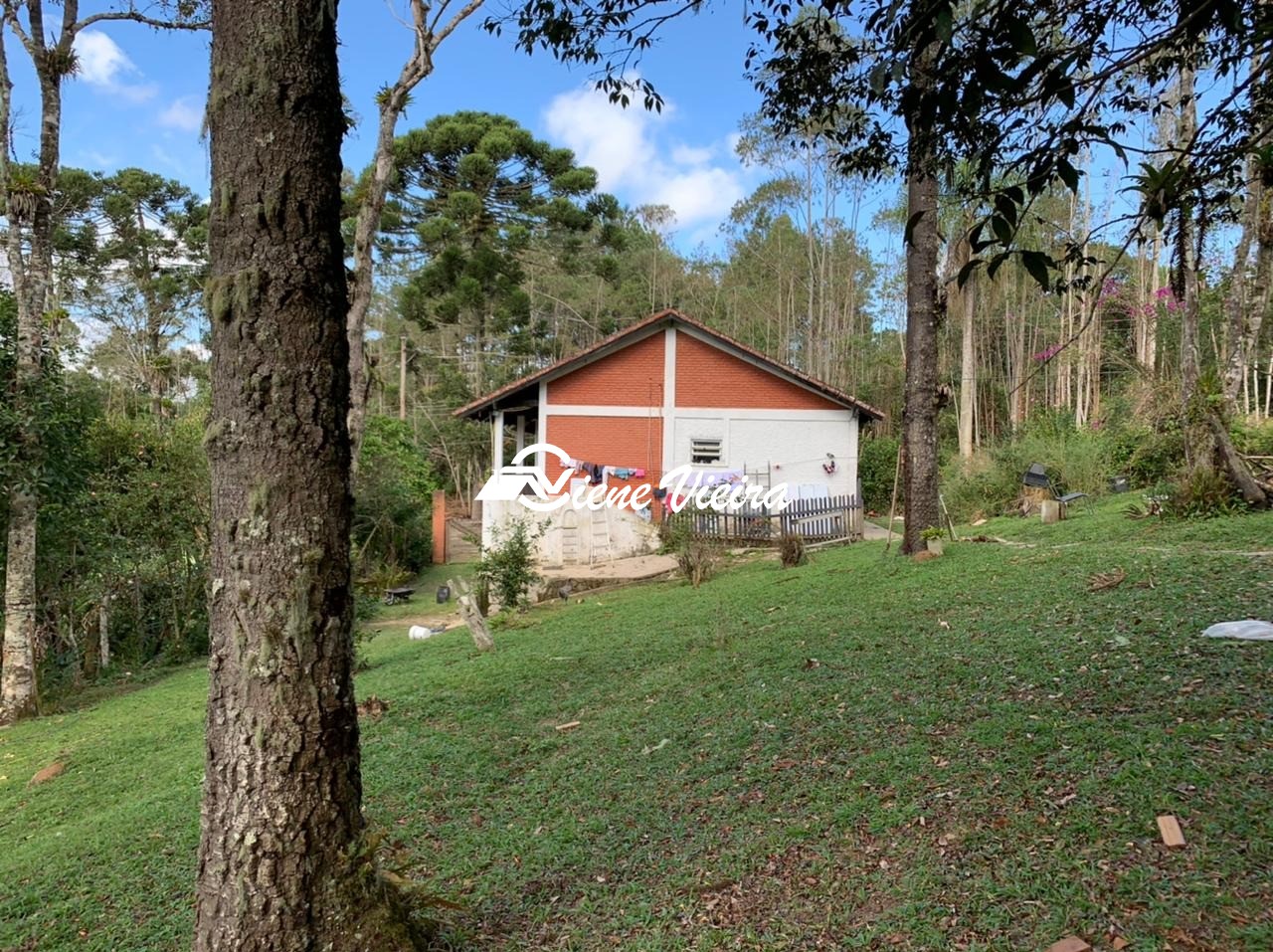 Chácara, 4 quartos, 4 hectares - Foto 3