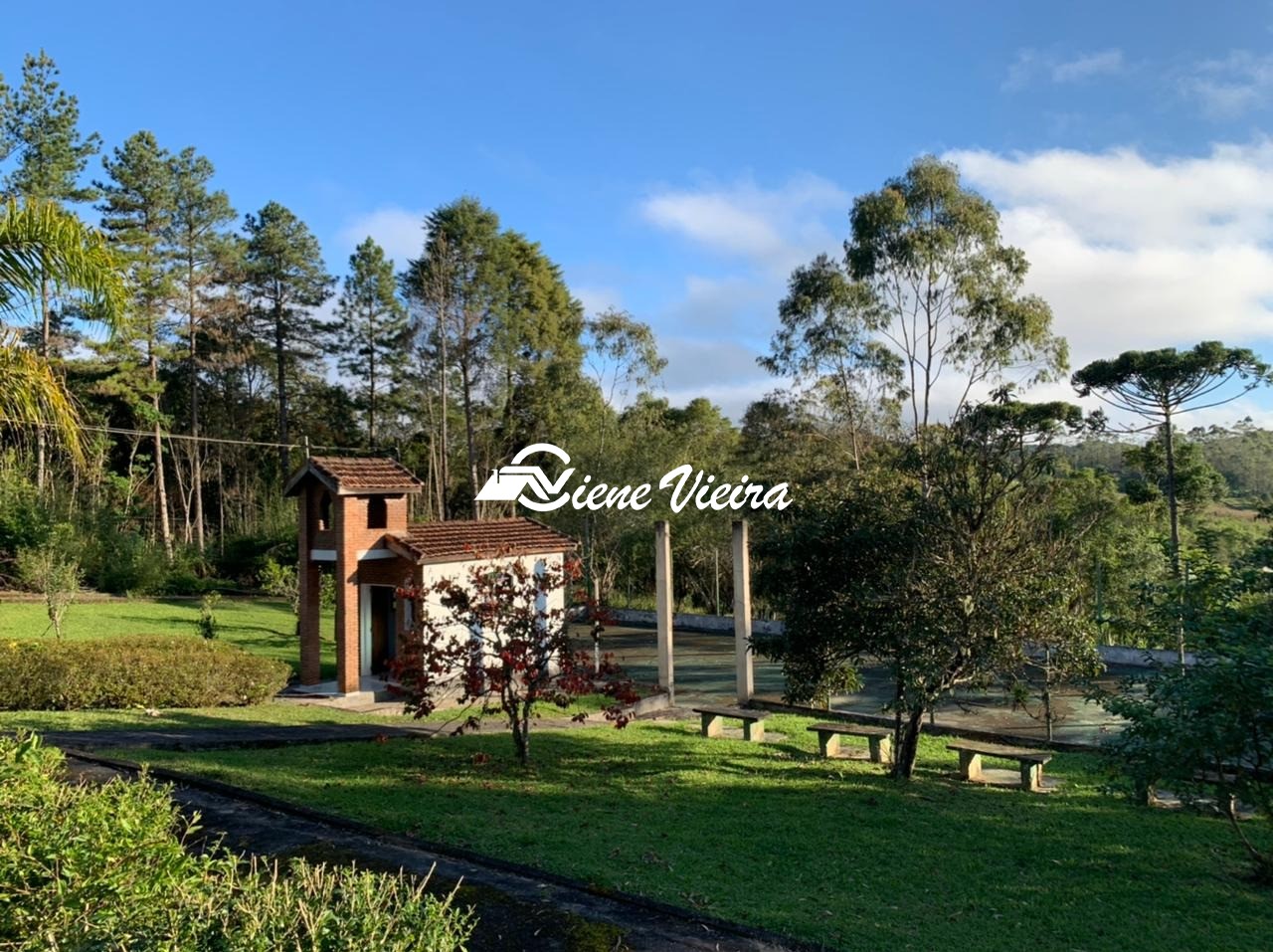 Chácara, 4 quartos, 4 hectares - Foto 8