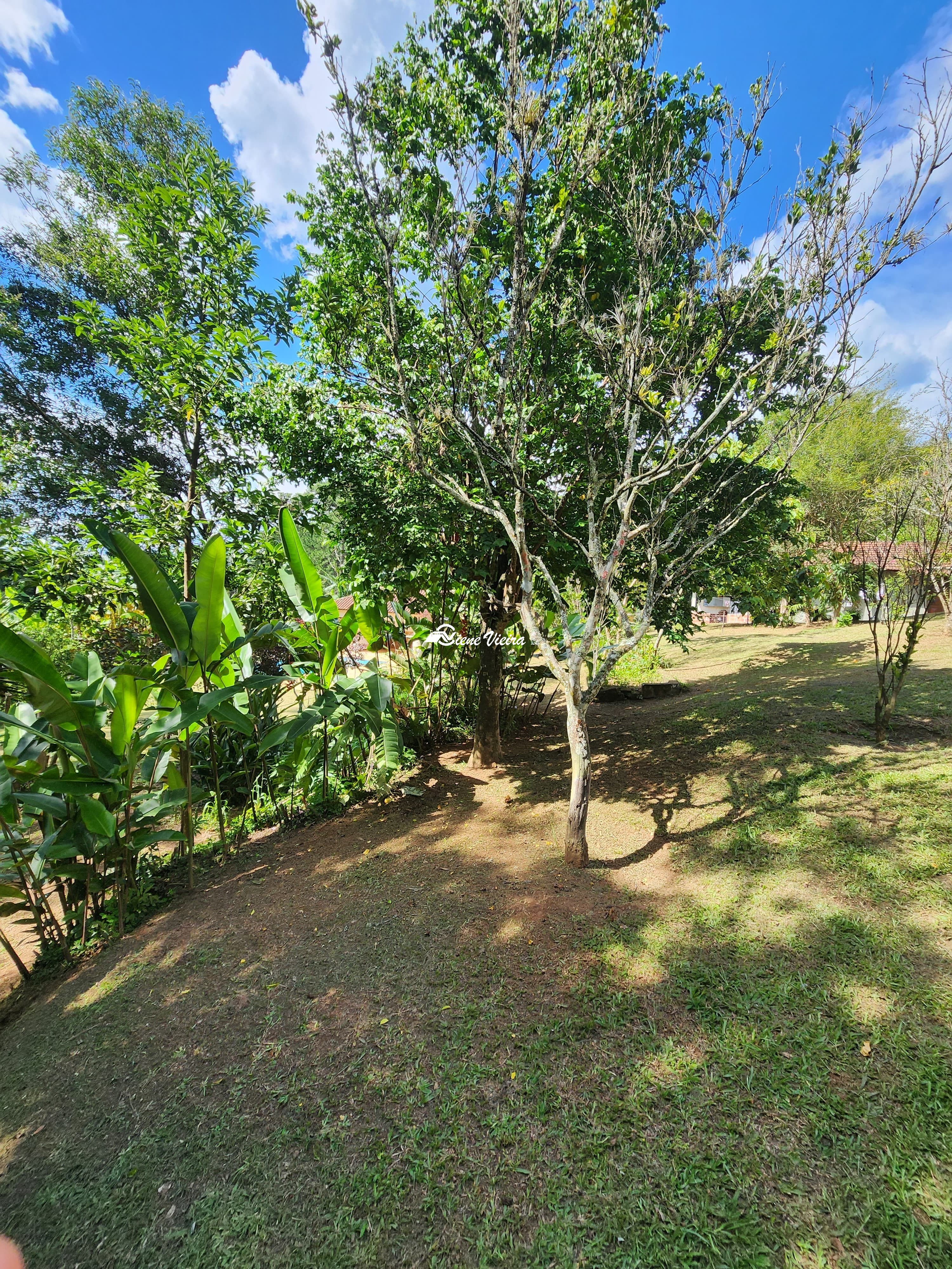 Sítio, 3 quartos, 2 hectares - Foto 10