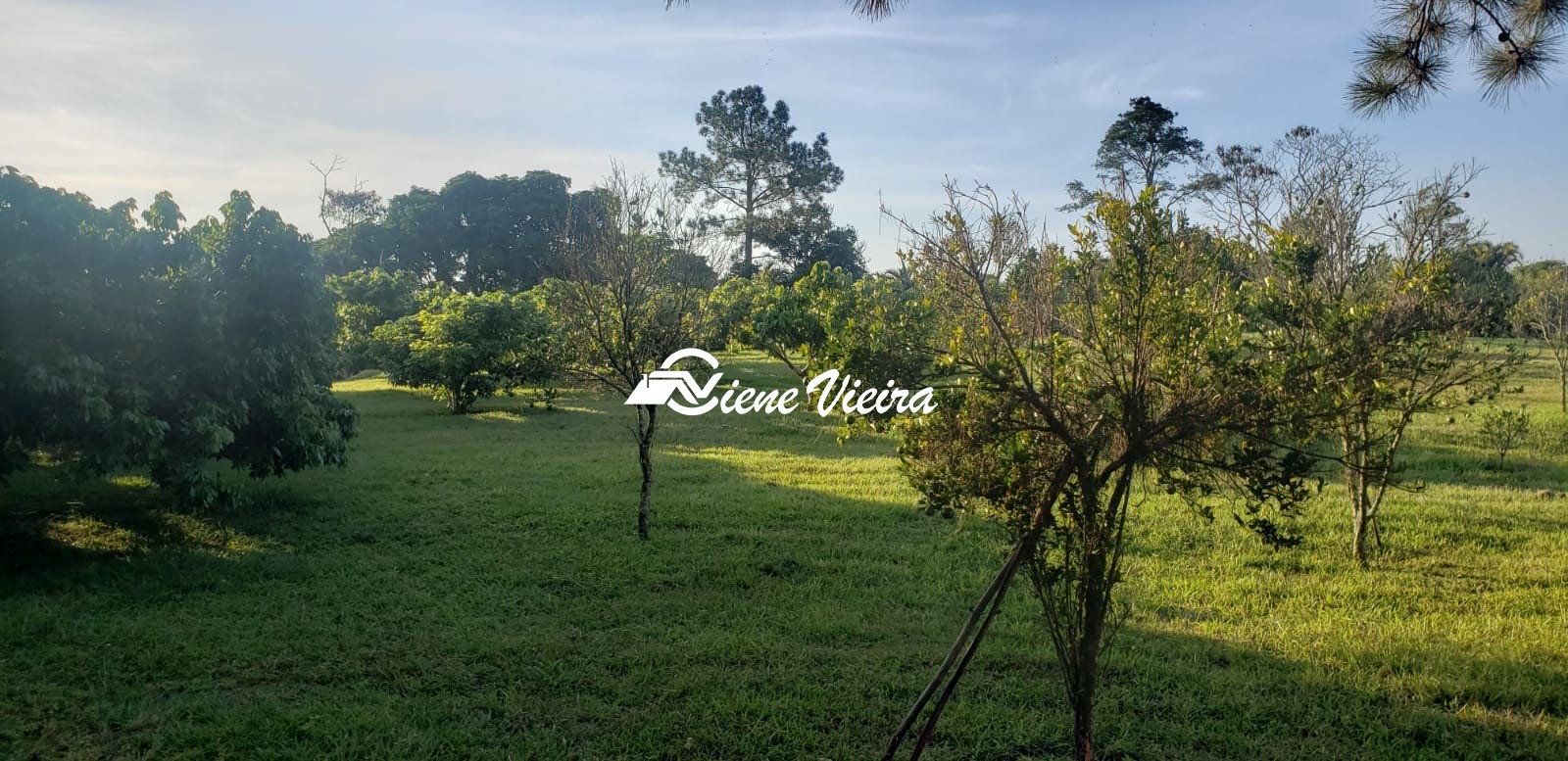 Chácara, 3 quartos, 4 hectares - Foto 16