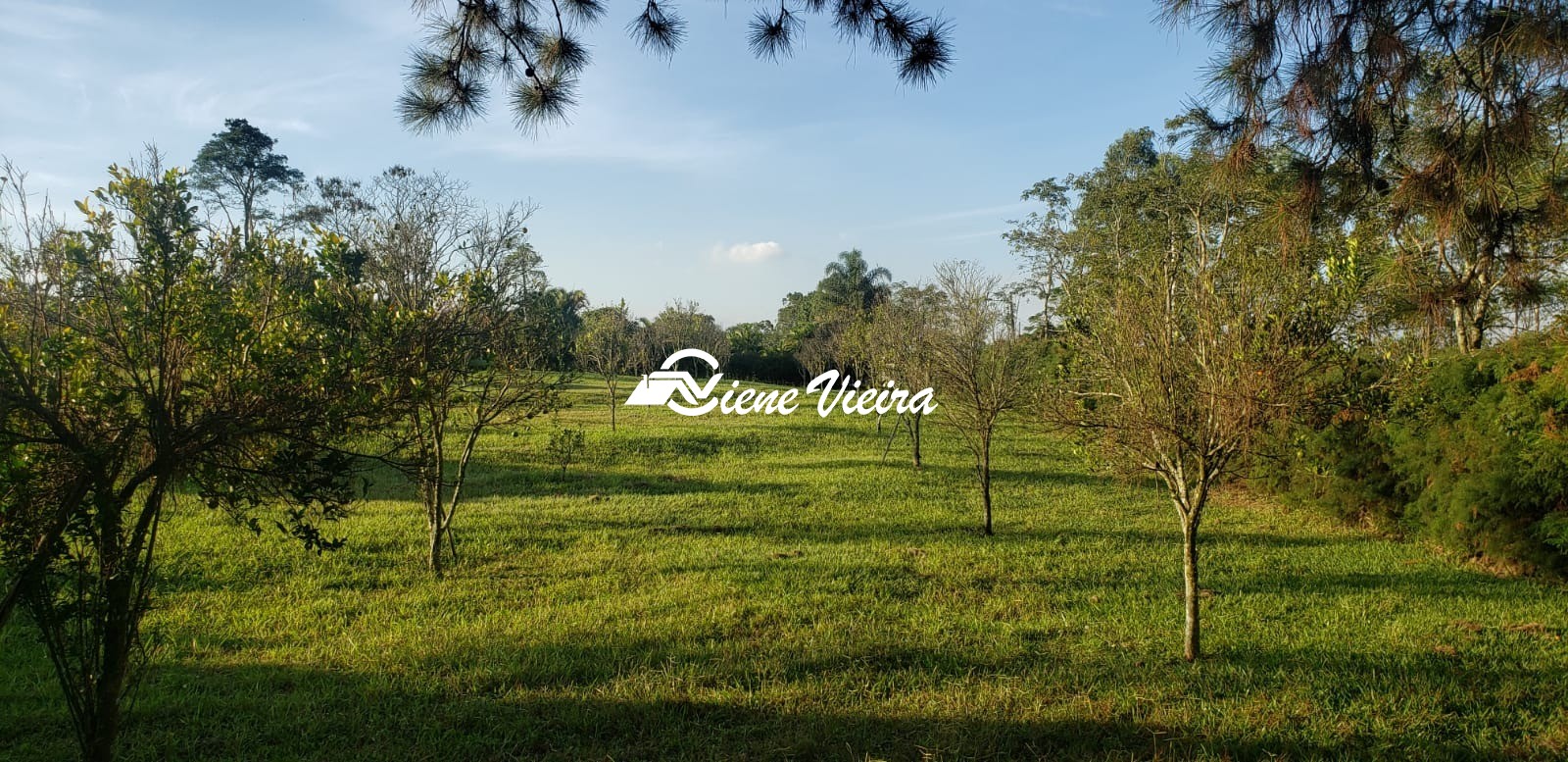 Chácara, 3 quartos, 4 hectares - Foto 17