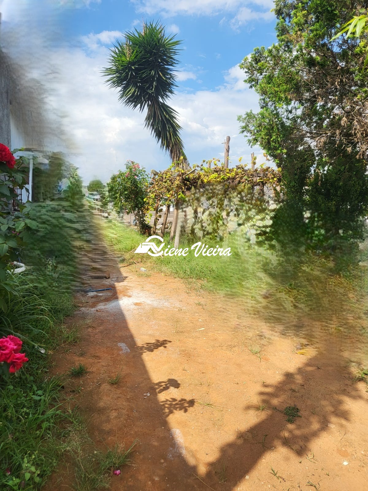 Terreno, 330 m² - Foto 3
