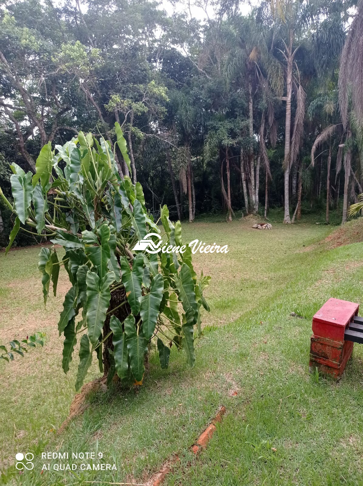 Chácara, 3 quartos, 4000 m² - Foto 11