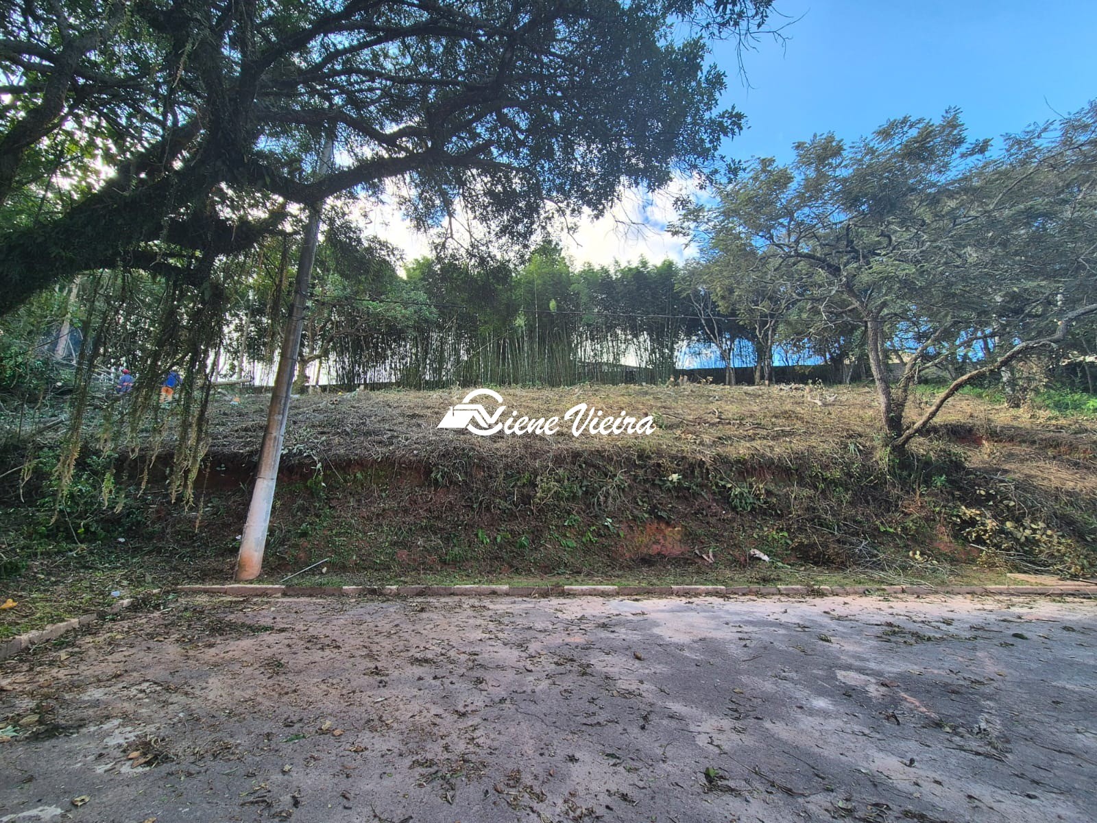 Terreno, 1975 m² - Foto 3