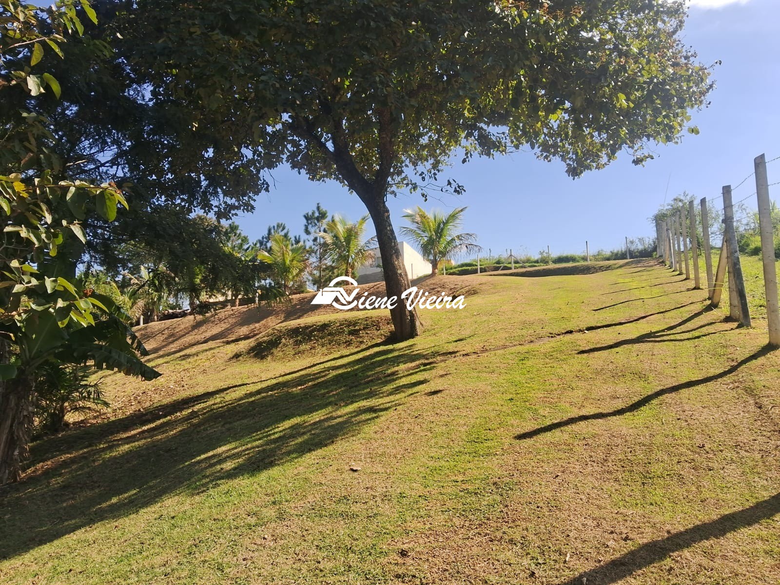 Chácara, 3 quartos, 6928 m² - Foto 29