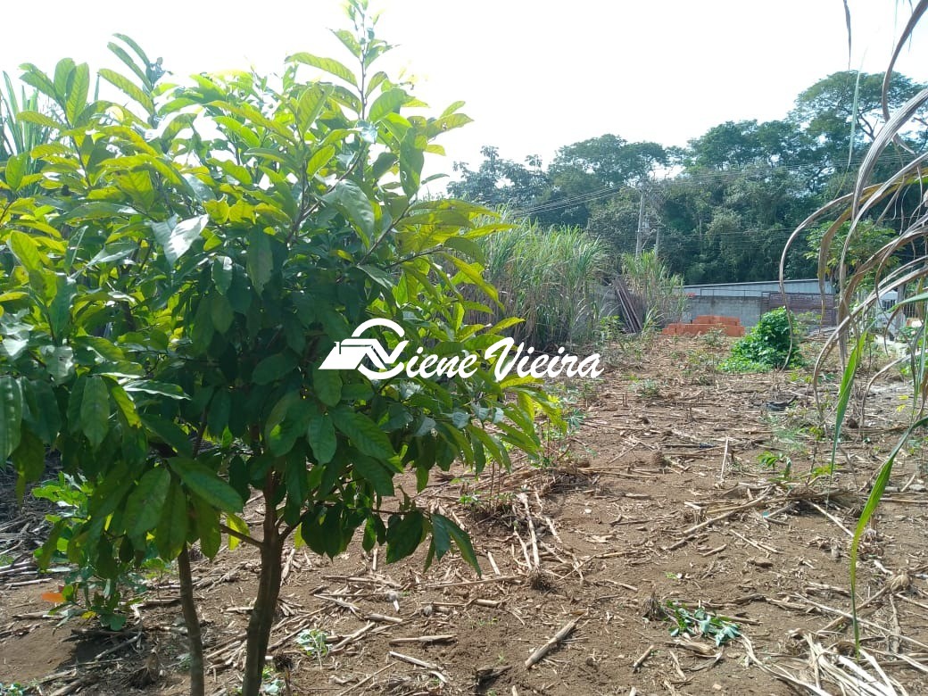 Loteamento e Condomínio, 1000 m² - Foto 3