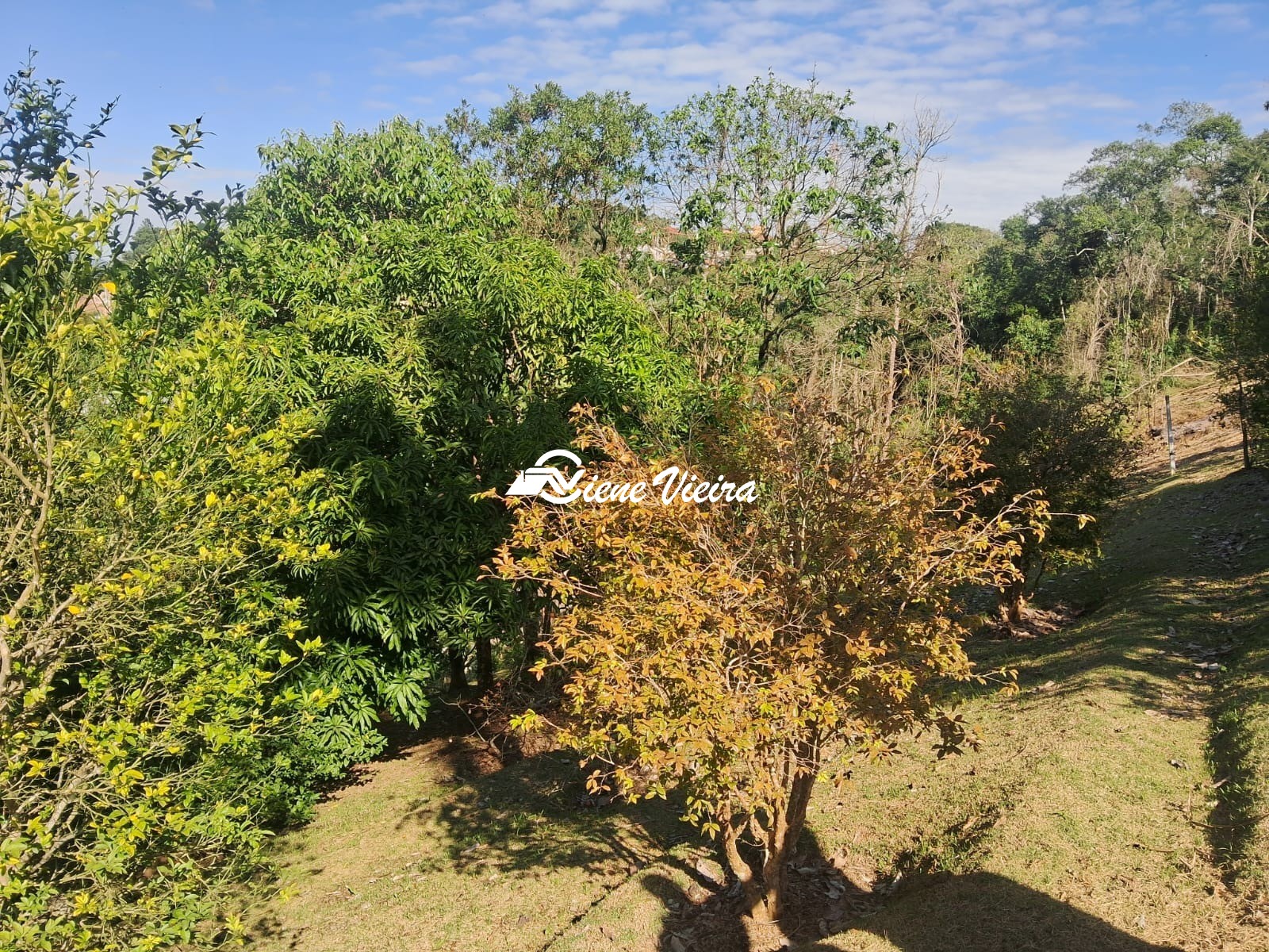 Chácara, 3 quartos, 6928 m² - Foto 19
