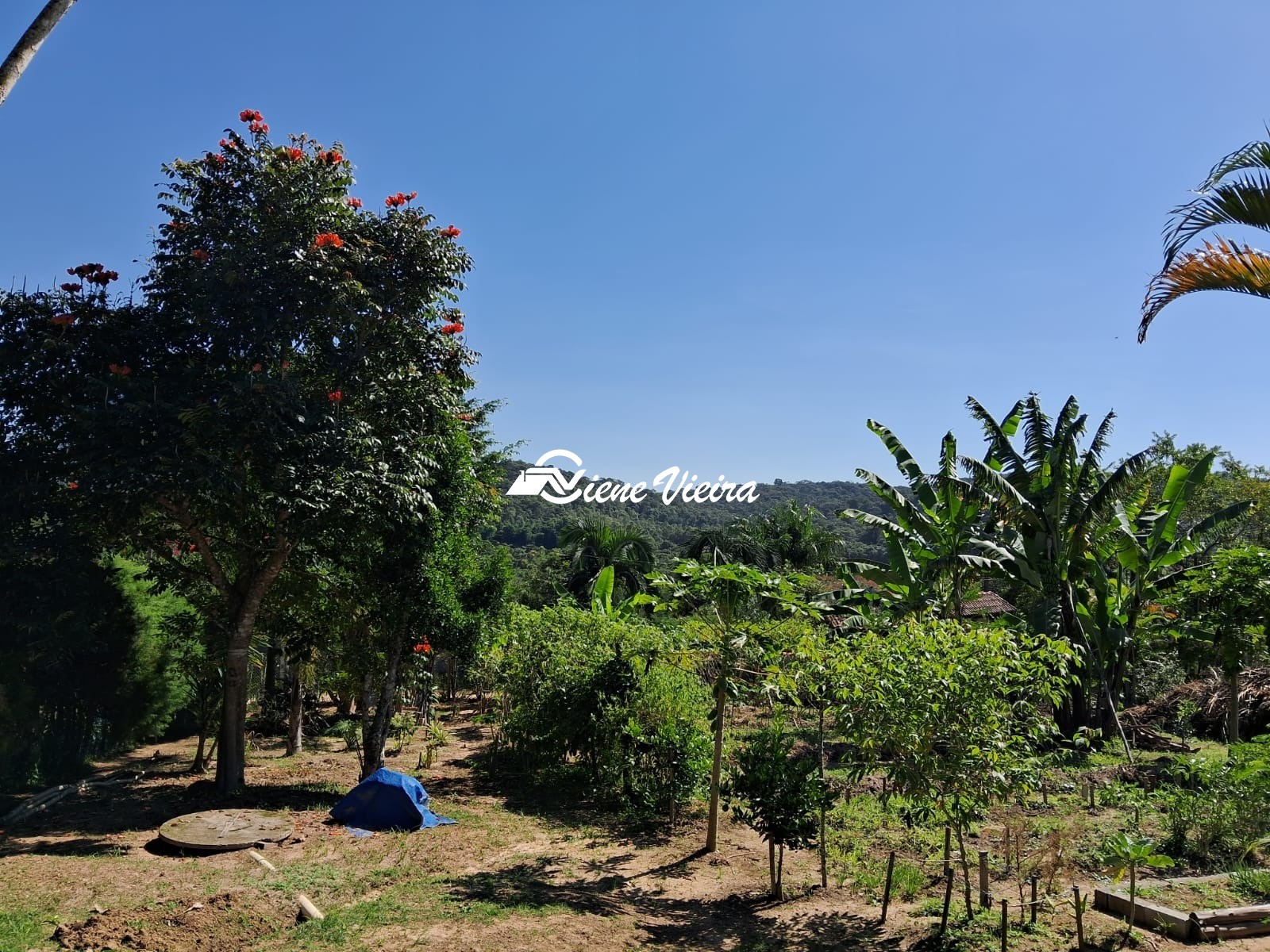 Chácara, 3 quartos, 2500 m² - Foto 8