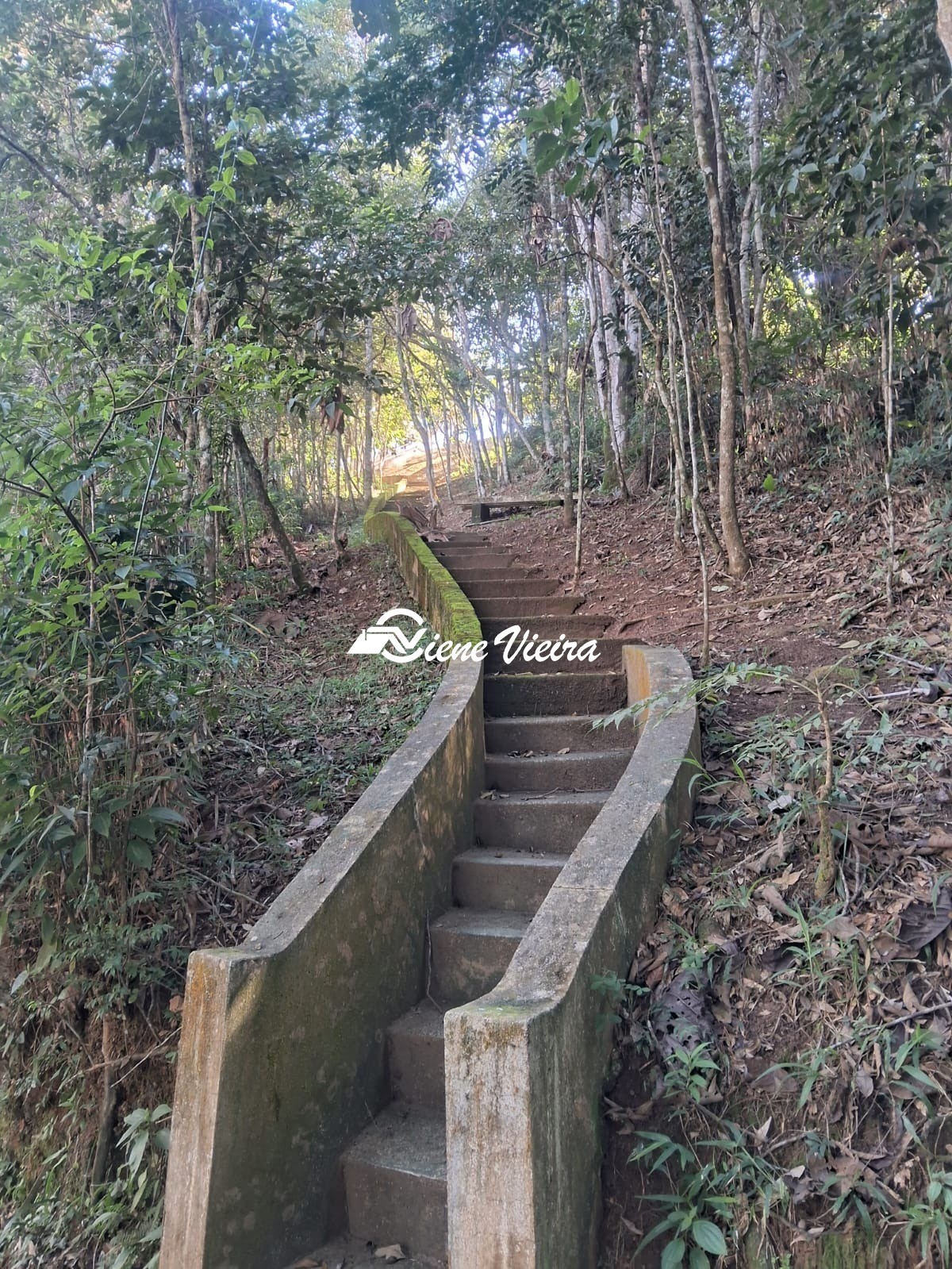 Chácara, 3 quartos, 6928 m² - Foto 31