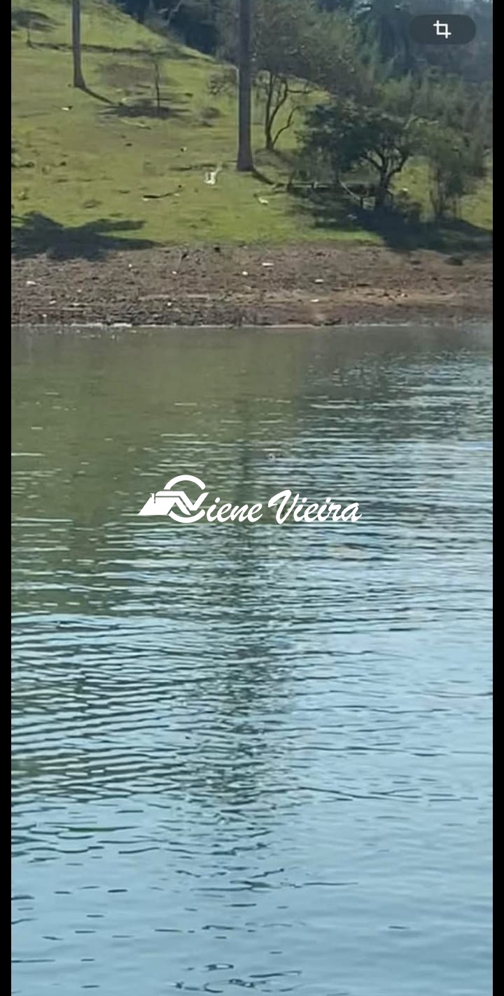 Terreno, 2 hectares - Foto 11