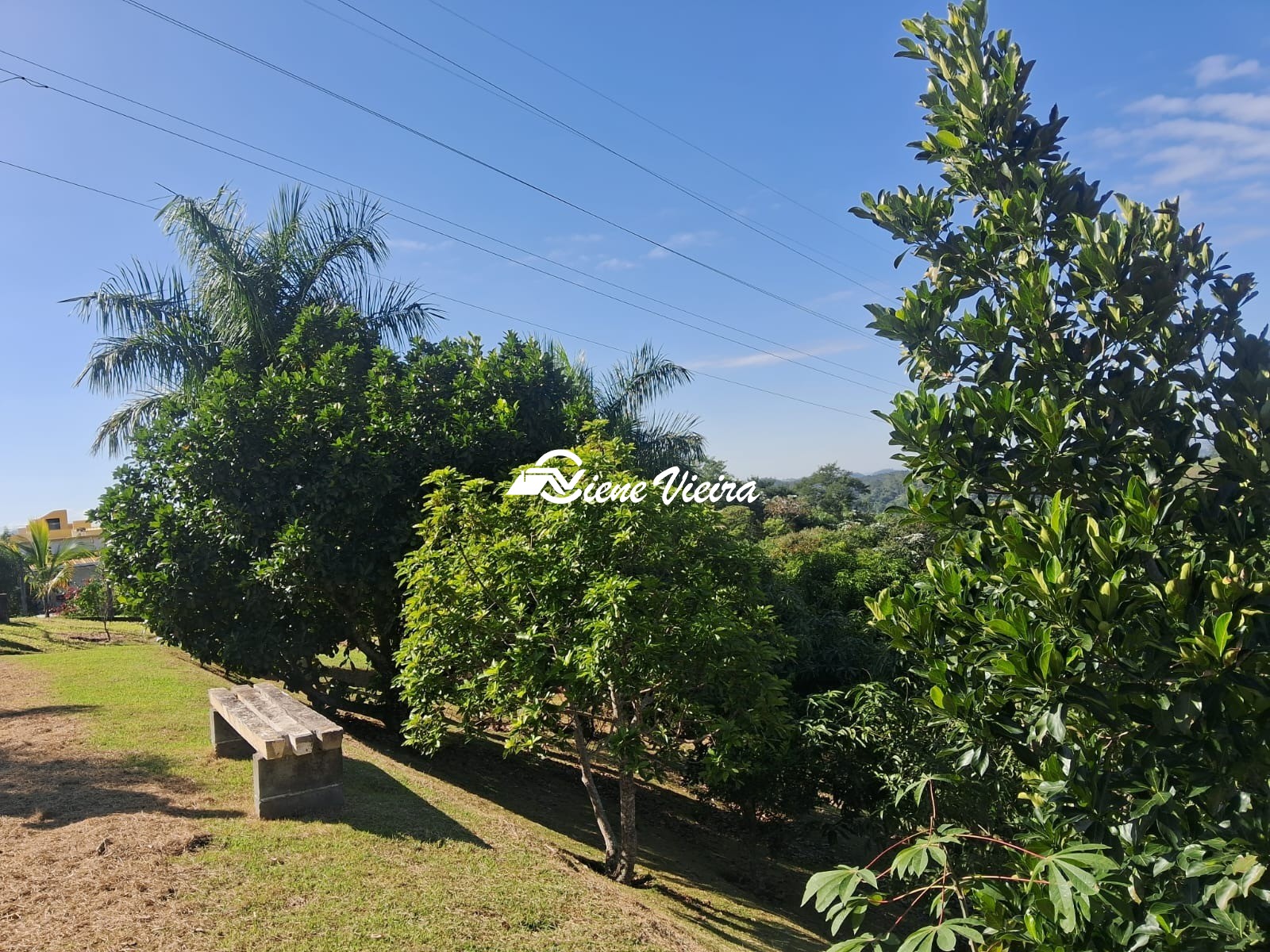Chácara, 3 quartos, 6928 m² - Foto 13