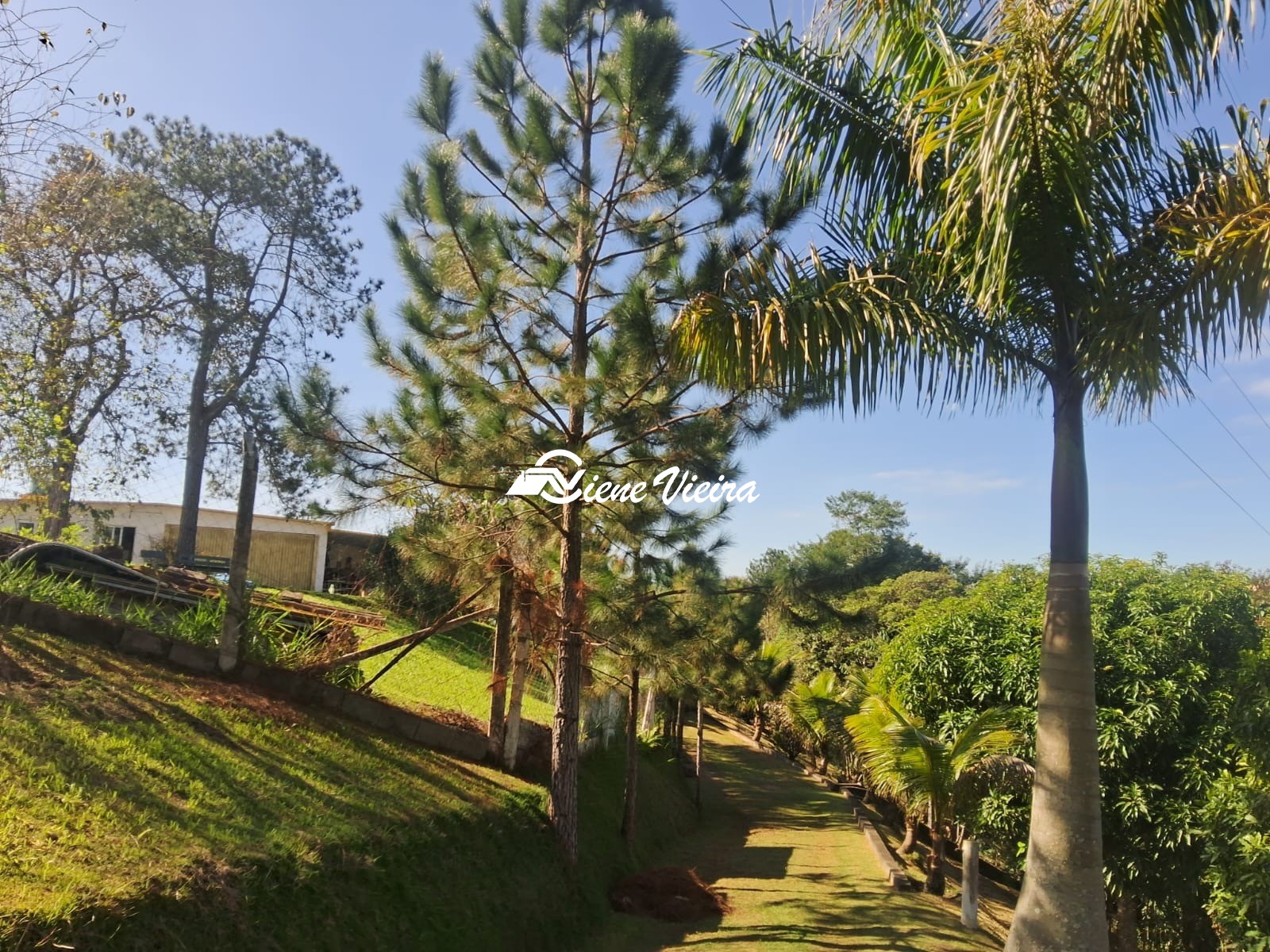 Chácara, 3 quartos, 6928 m² - Foto 16