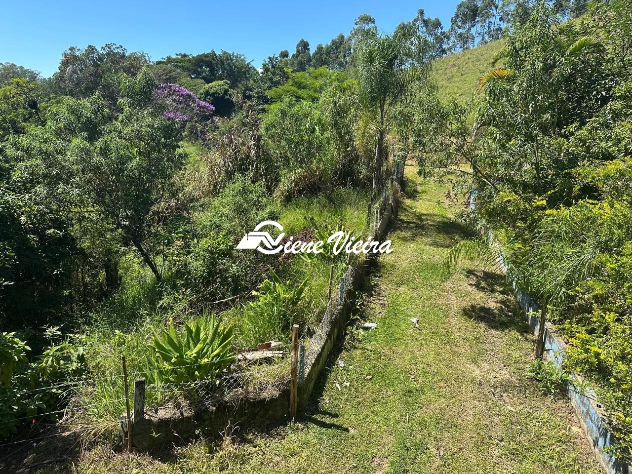 Chácara, 2 quartos, 5 hectares - Foto 13