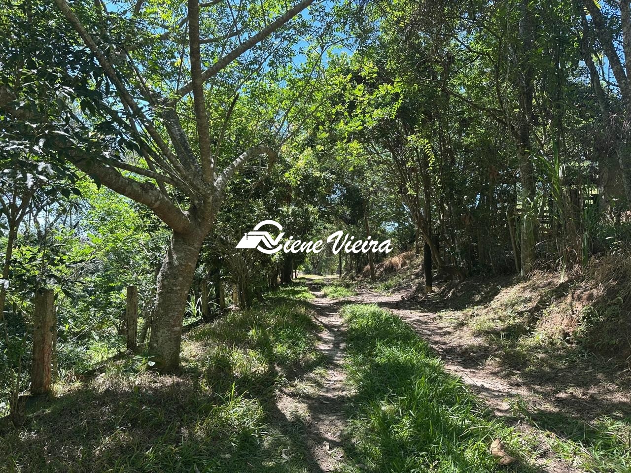 Chácara, 2 quartos, 5 hectares - Foto 11