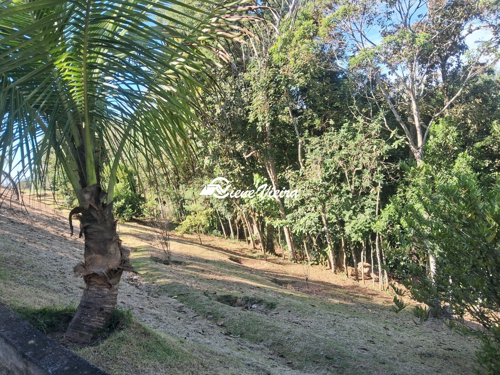 Chácara, 3 quartos, 6928 m² - Foto 22