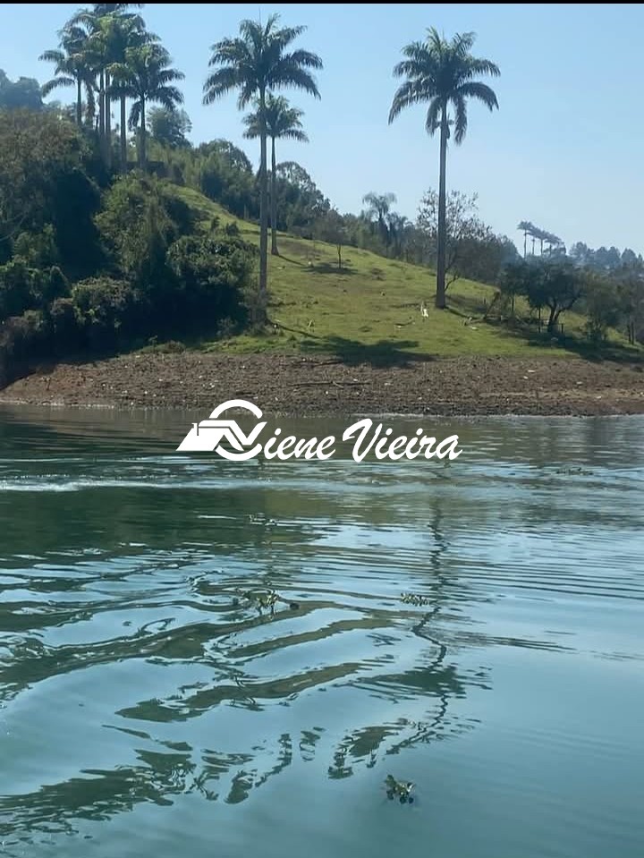 Terreno, 2 hectares - Foto 8