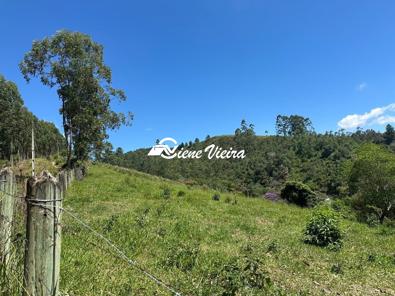 Chácara, 2 quartos, 5 hectares - Foto 16