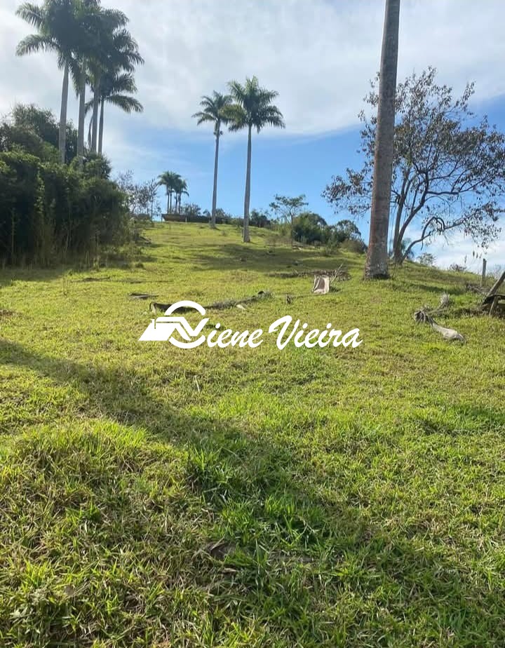 Terreno, 2 hectares - Foto 13