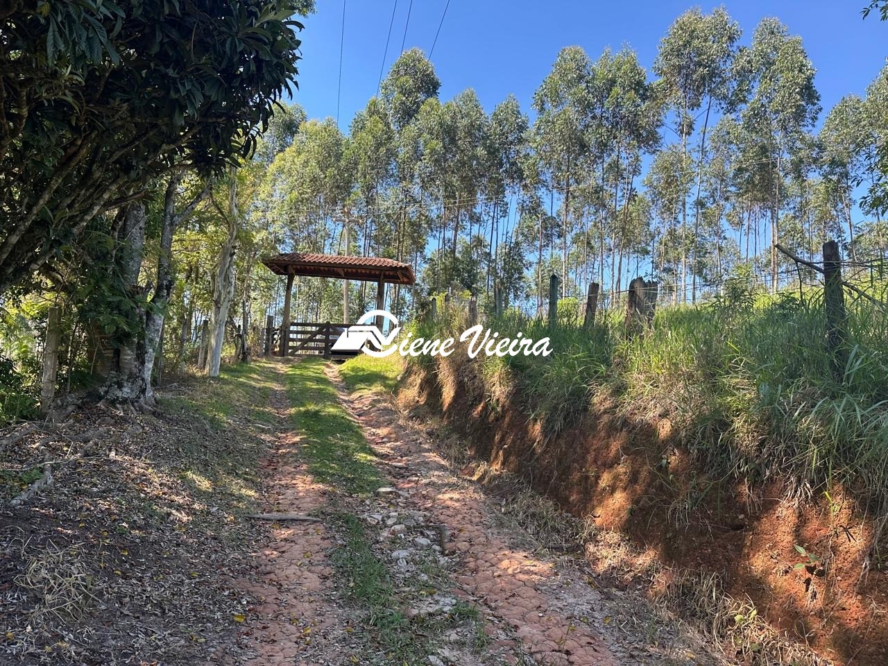 Chácara, 2 quartos, 5 hectares - Foto 8
