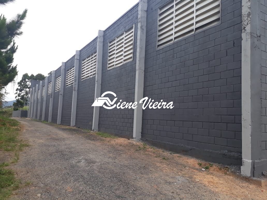 Depósito-Galpão, 10000 m² - Foto 7