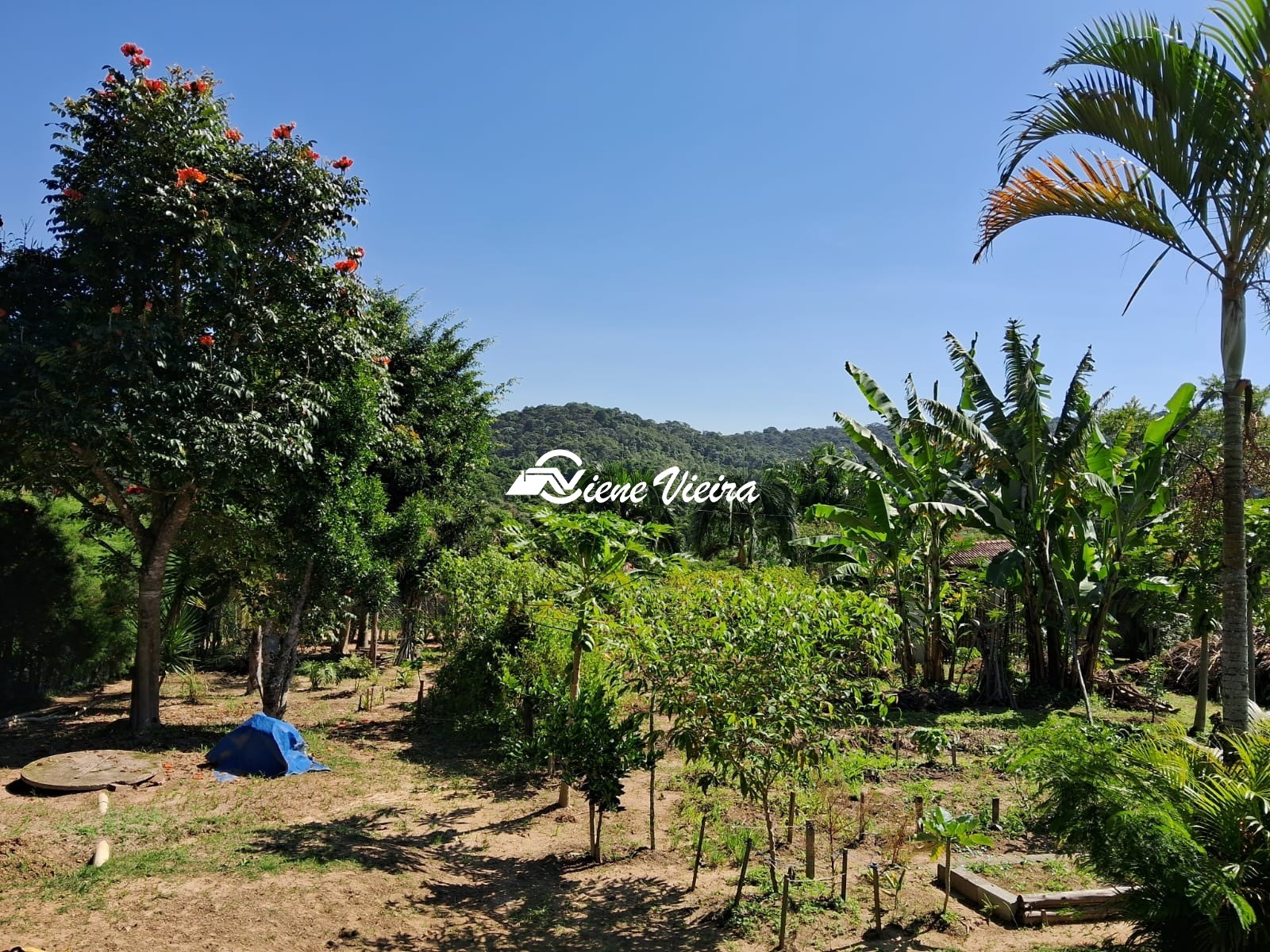 Chácara, 3 quartos, 2500 m² - Foto 9