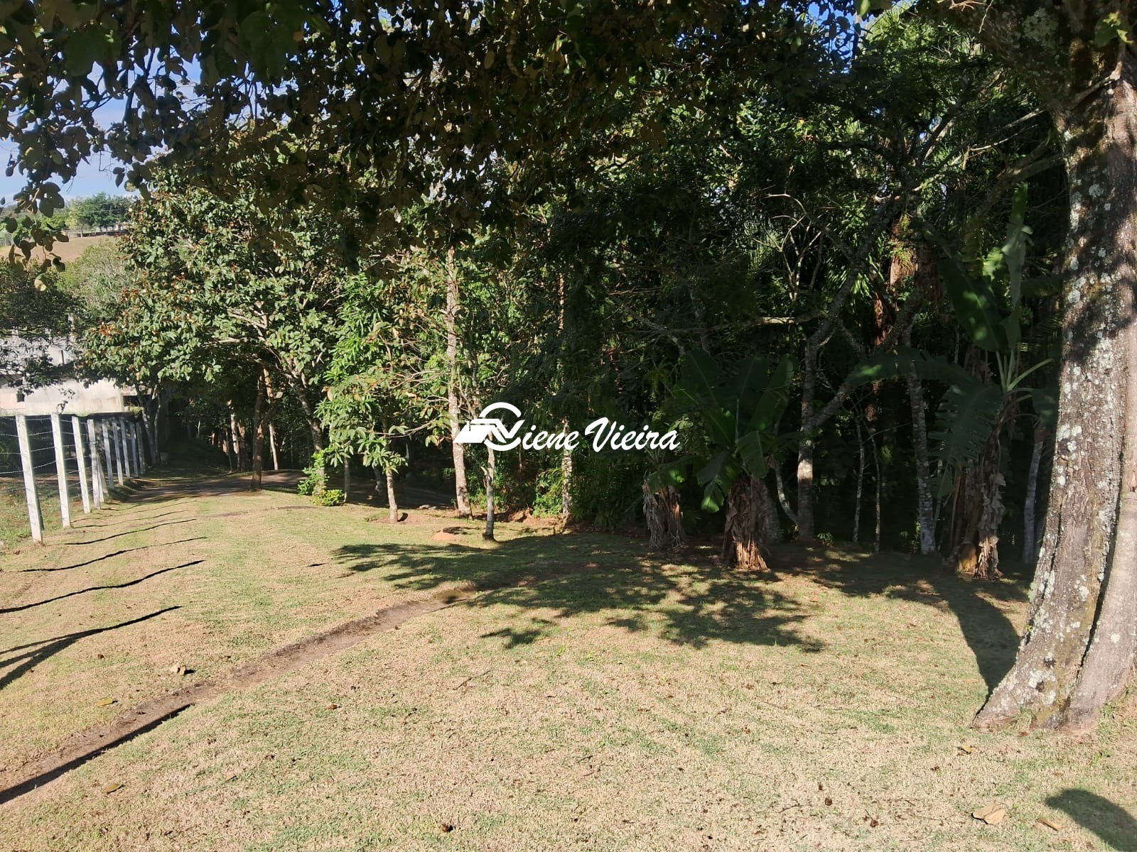 Chácara, 3 quartos, 6928 m² - Foto 15