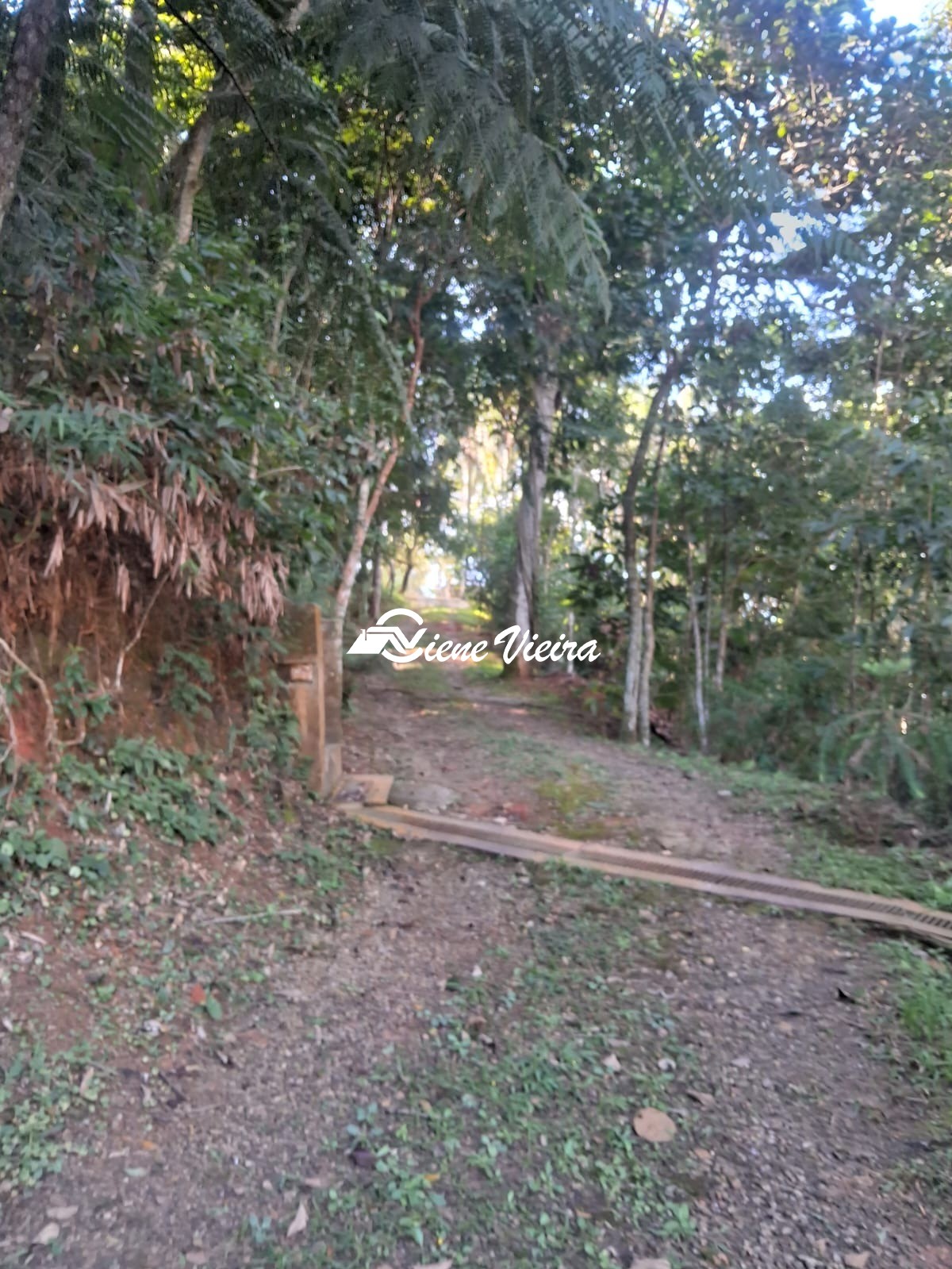 Chácara, 3 quartos, 6928 m² - Foto 30