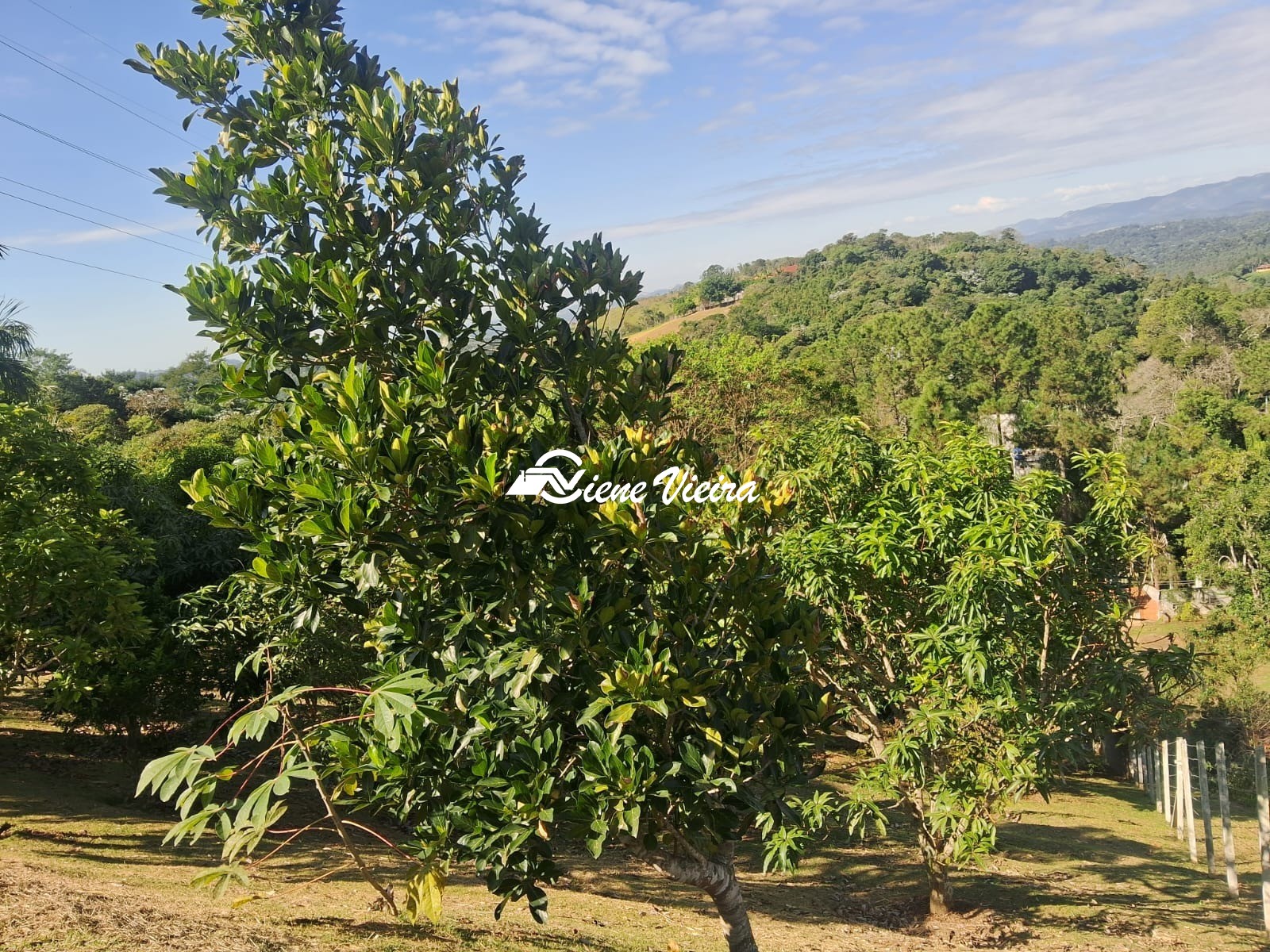 Chácara, 3 quartos, 6928 m² - Foto 12