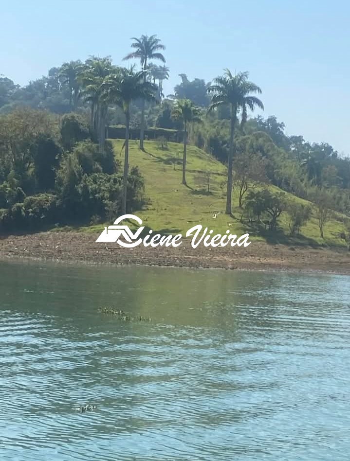 Terreno, 2 hectares - Foto 4