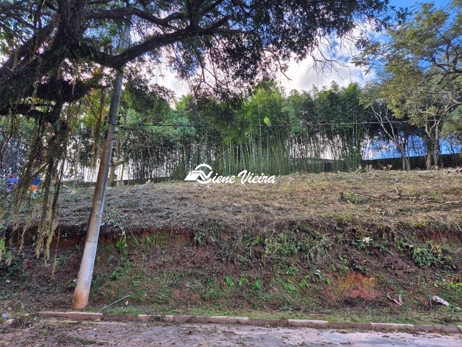 Terreno, 1975 m² - Foto 2