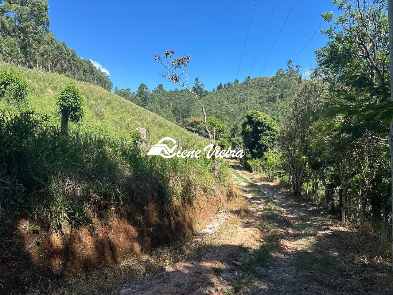 Chácara, 2 quartos, 5 hectares - Foto 15