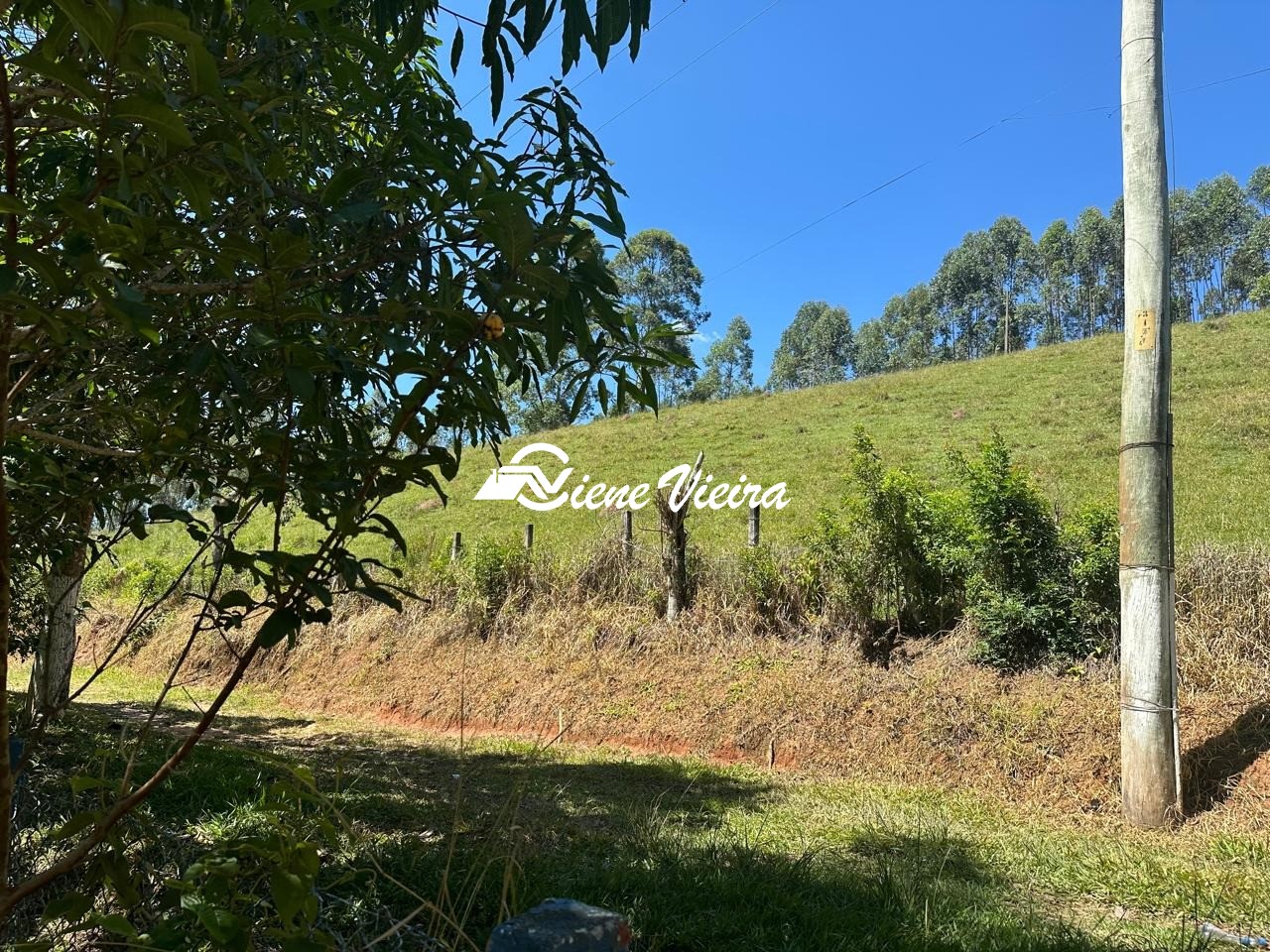 Chácara, 2 quartos, 5 hectares - Foto 17