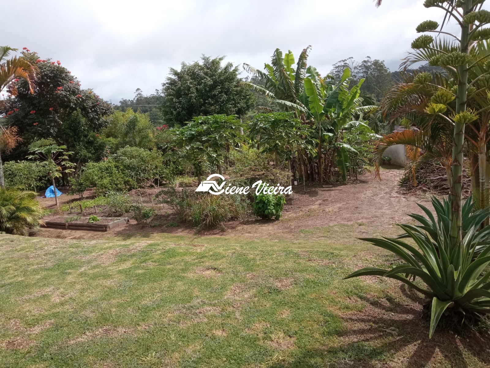 Chácara, 3 quartos, 2500 m² - Foto 14