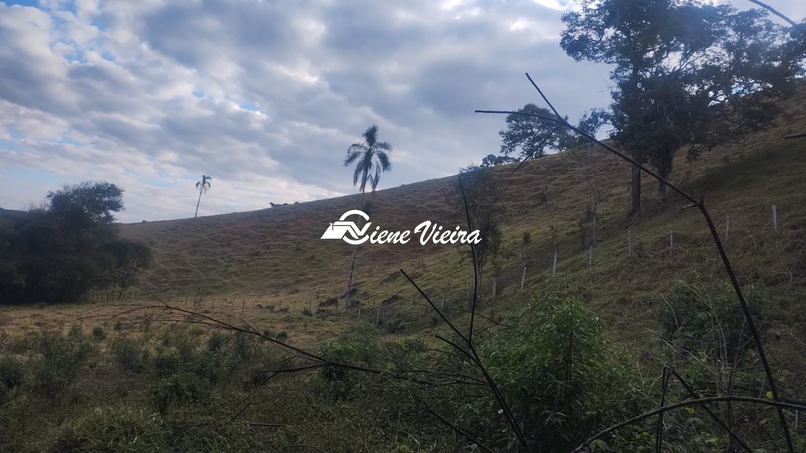 Terreno, 6 hectares - Foto 4