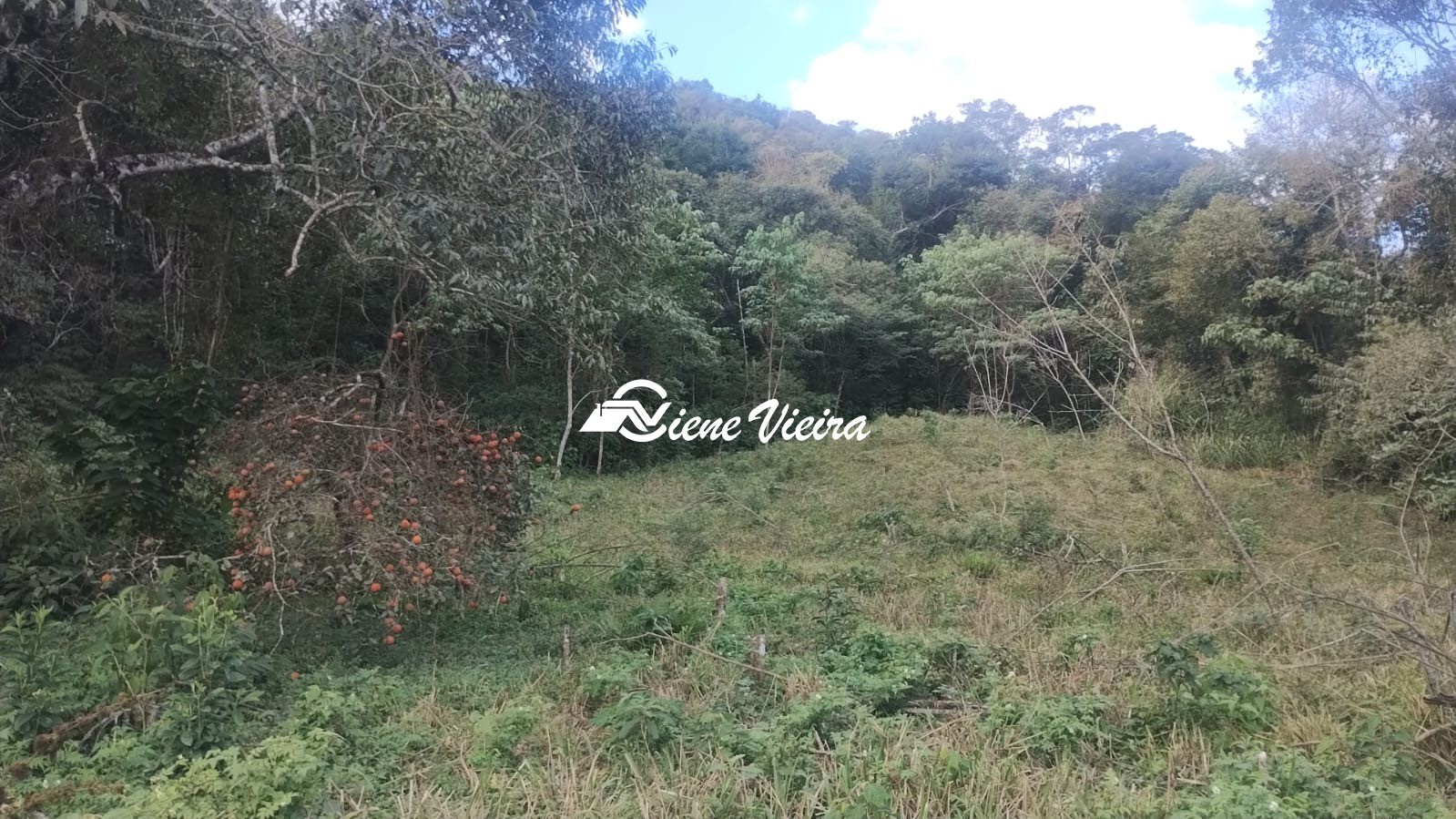 Terreno, 6 hectares - Foto 16