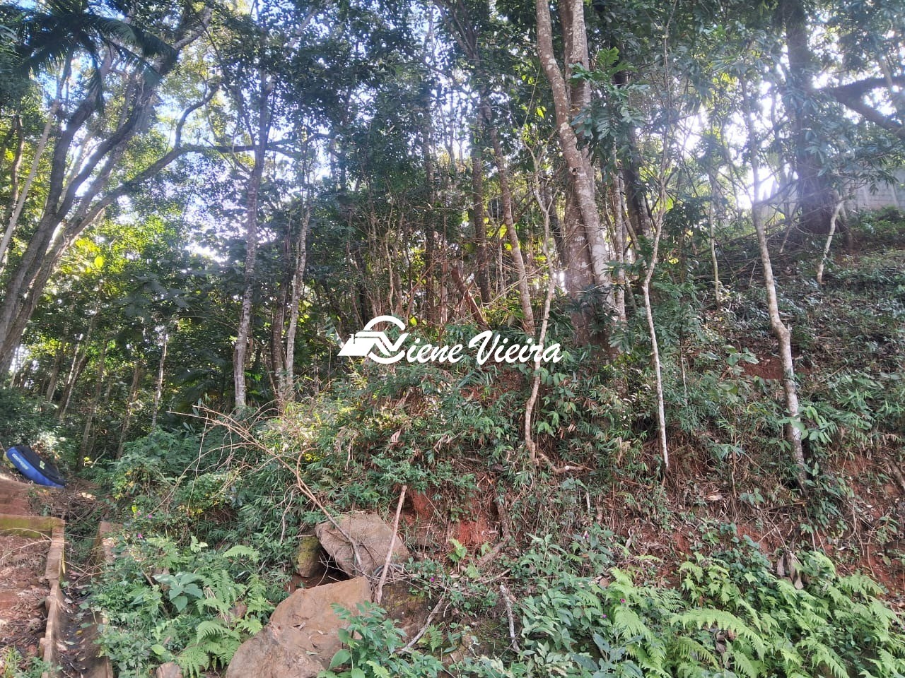 Terreno, 3038 m² - Foto 6