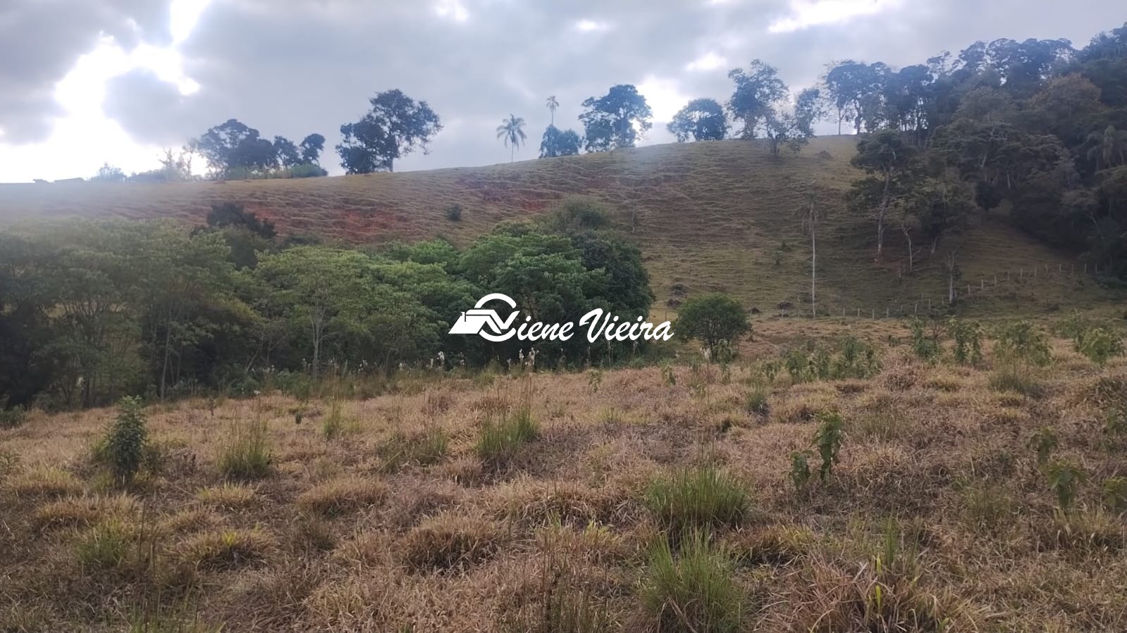 Terreno, 6 hectares - Foto 15