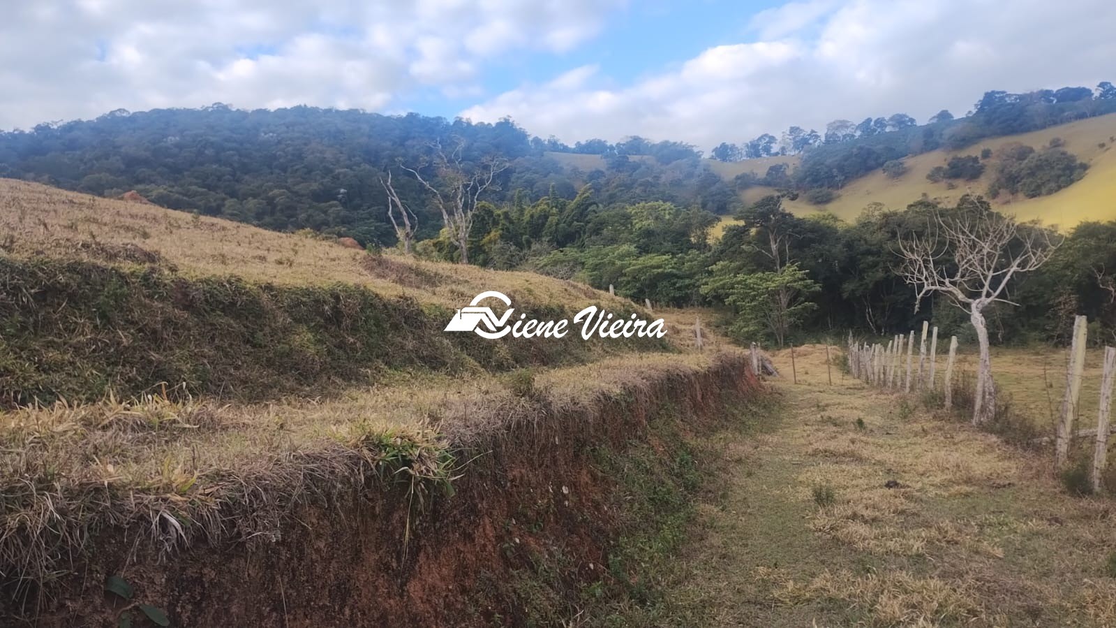 Terreno, 6 hectares - Foto 7
