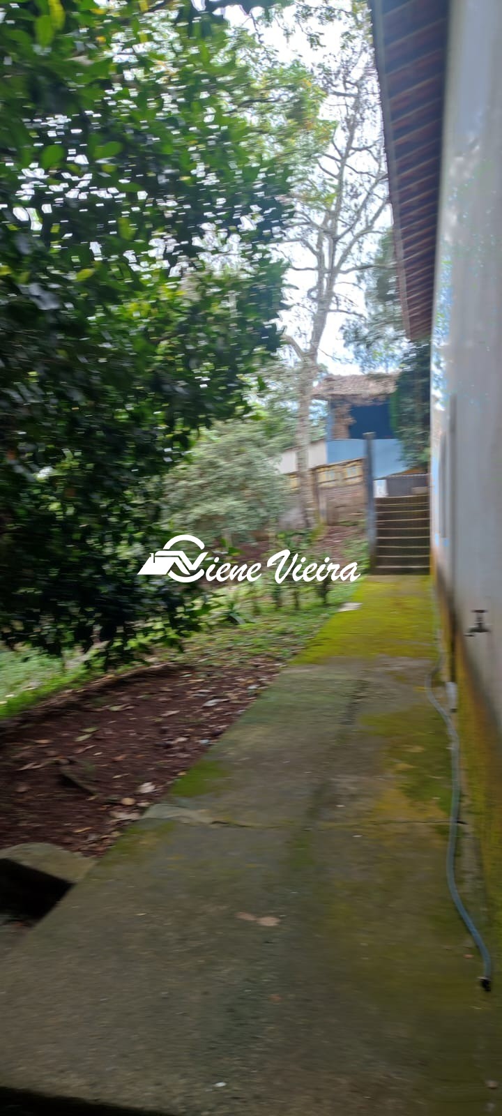 Chácara, 3 quartos, 6000 m² - Foto 13