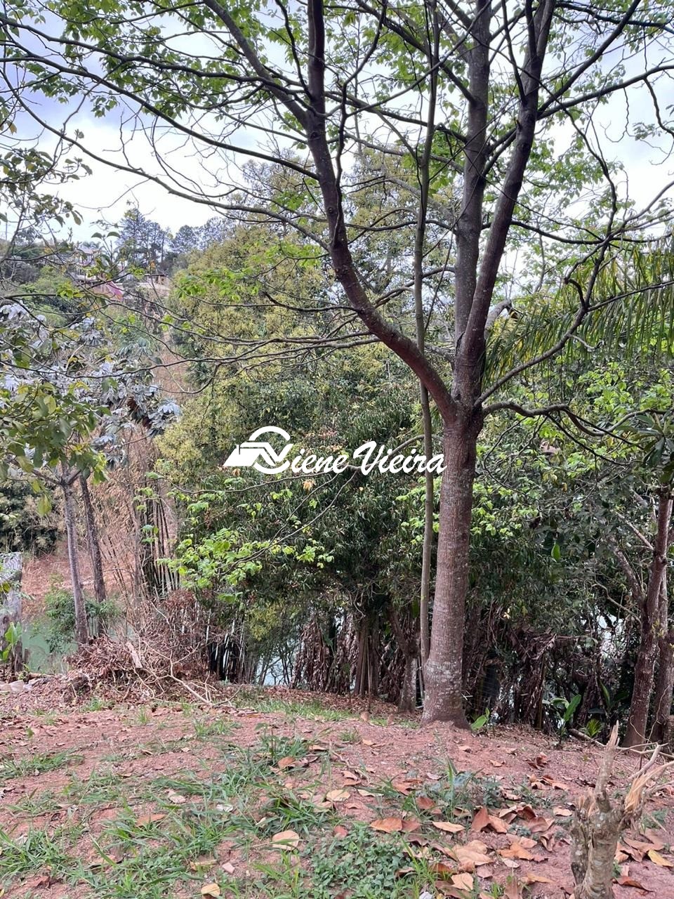 Terreno, 1000 m² - Foto 7