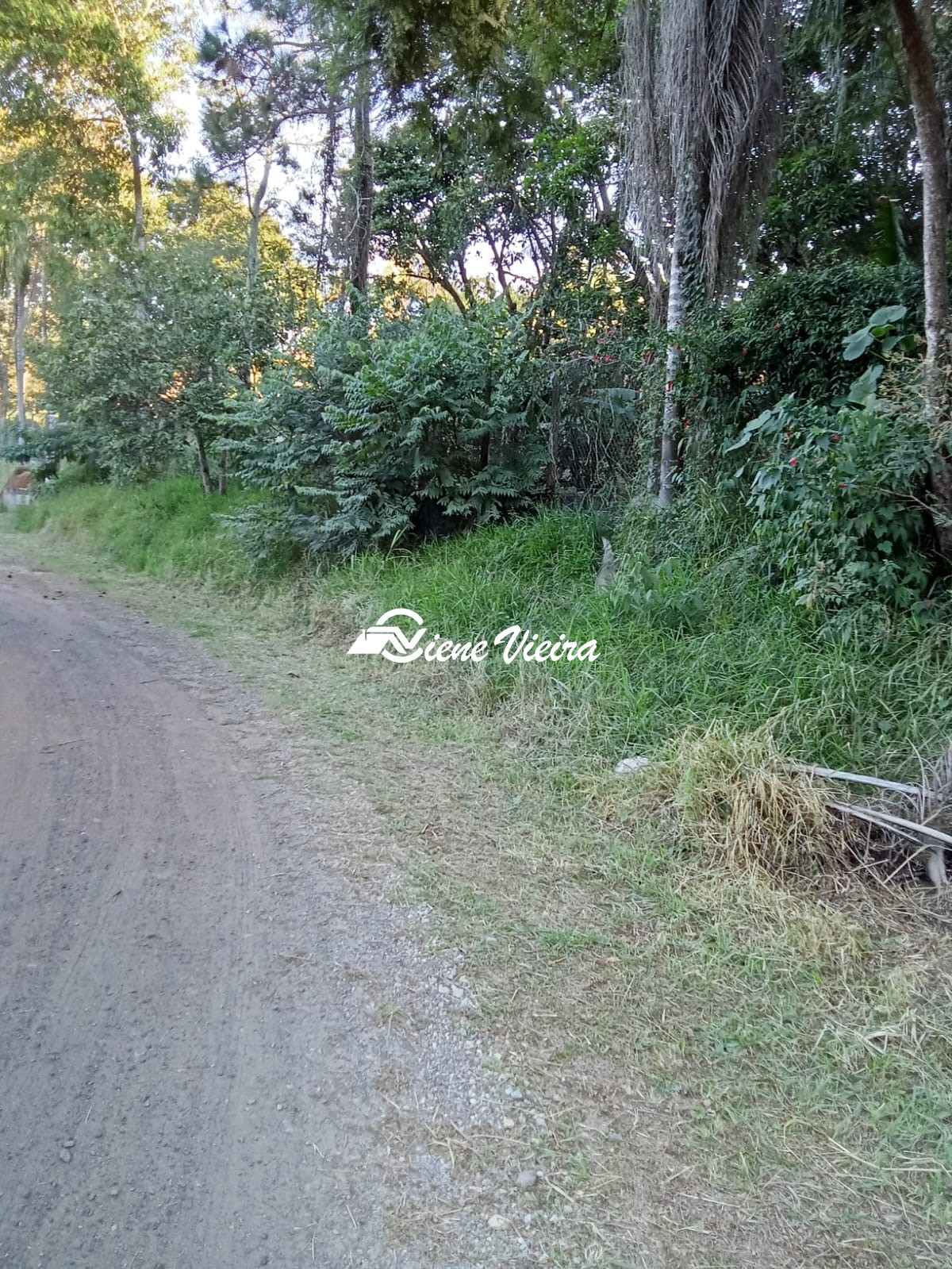 Terreno, 1300 m² - Foto 10