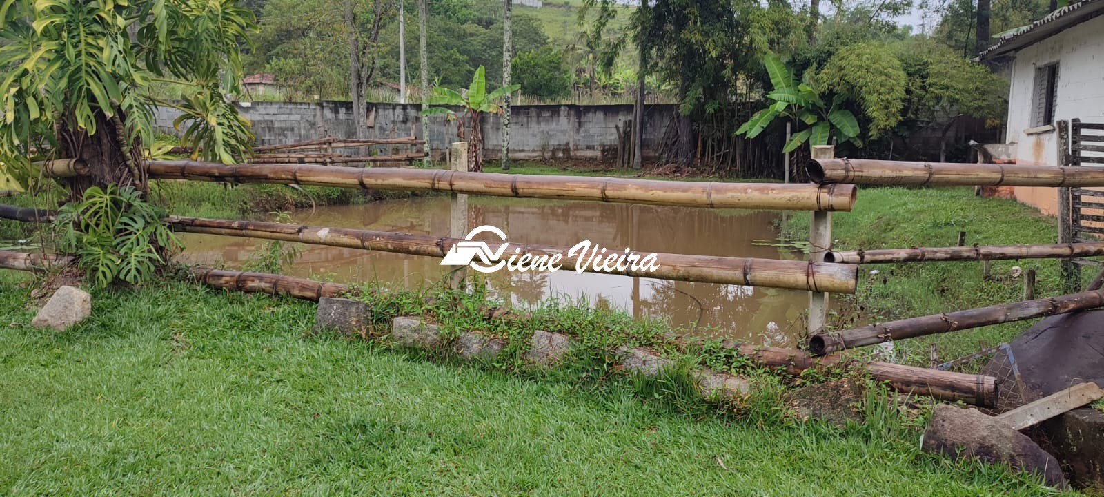Chácara, 6 quartos, 2 hectares - Foto 9
