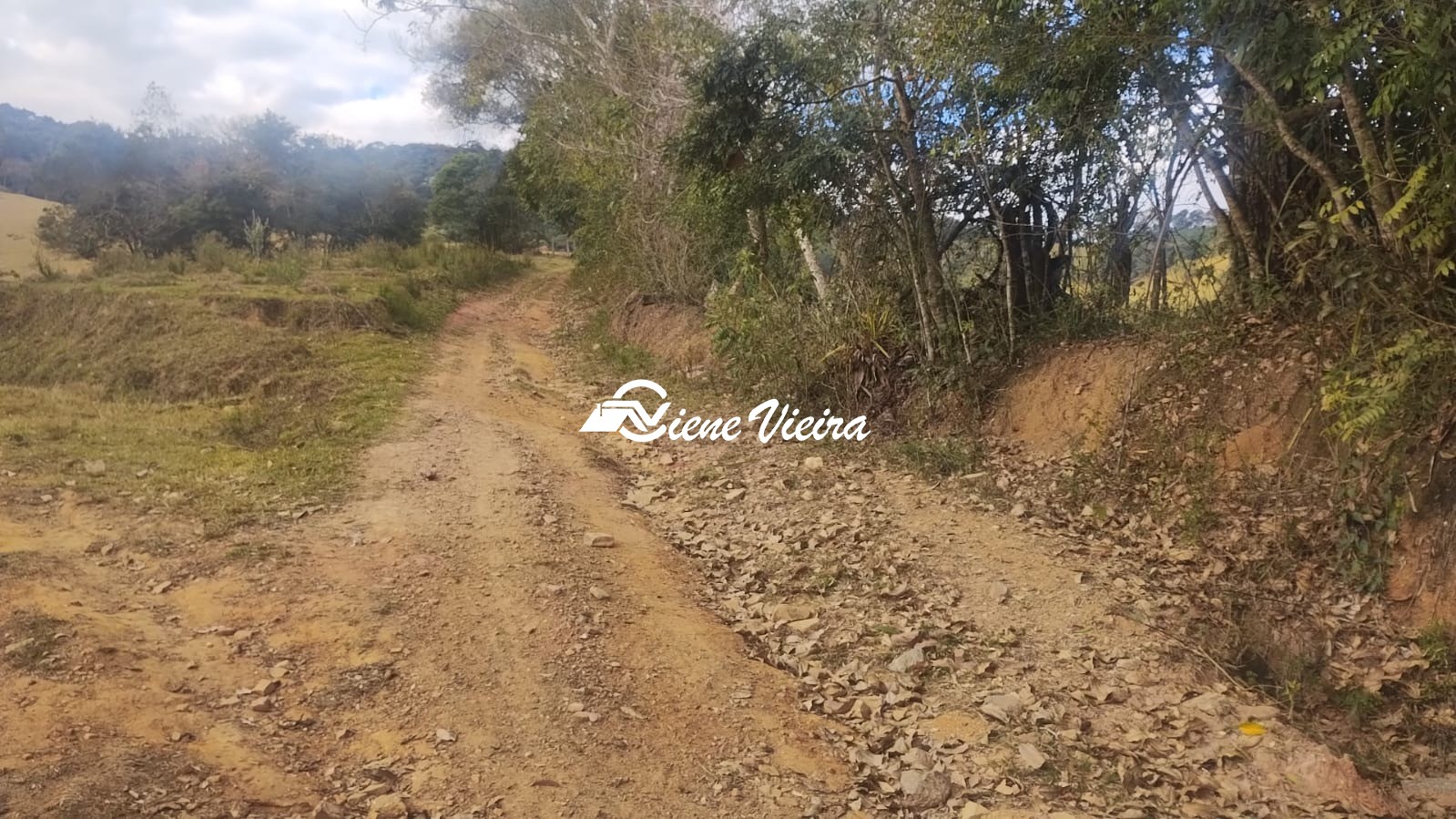Terreno, 6 hectares - Foto 11