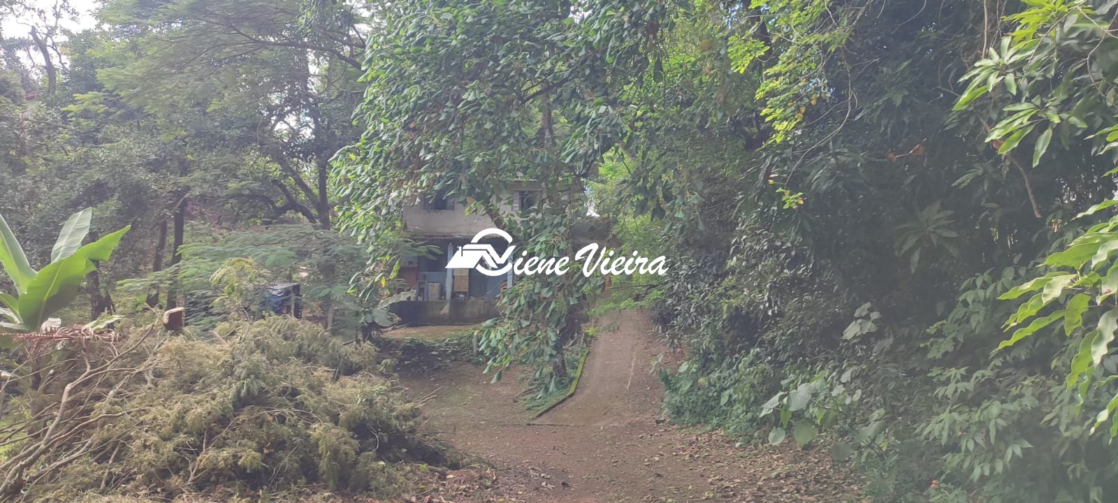 Chácara, 3 quartos, 6000 m² - Foto 10