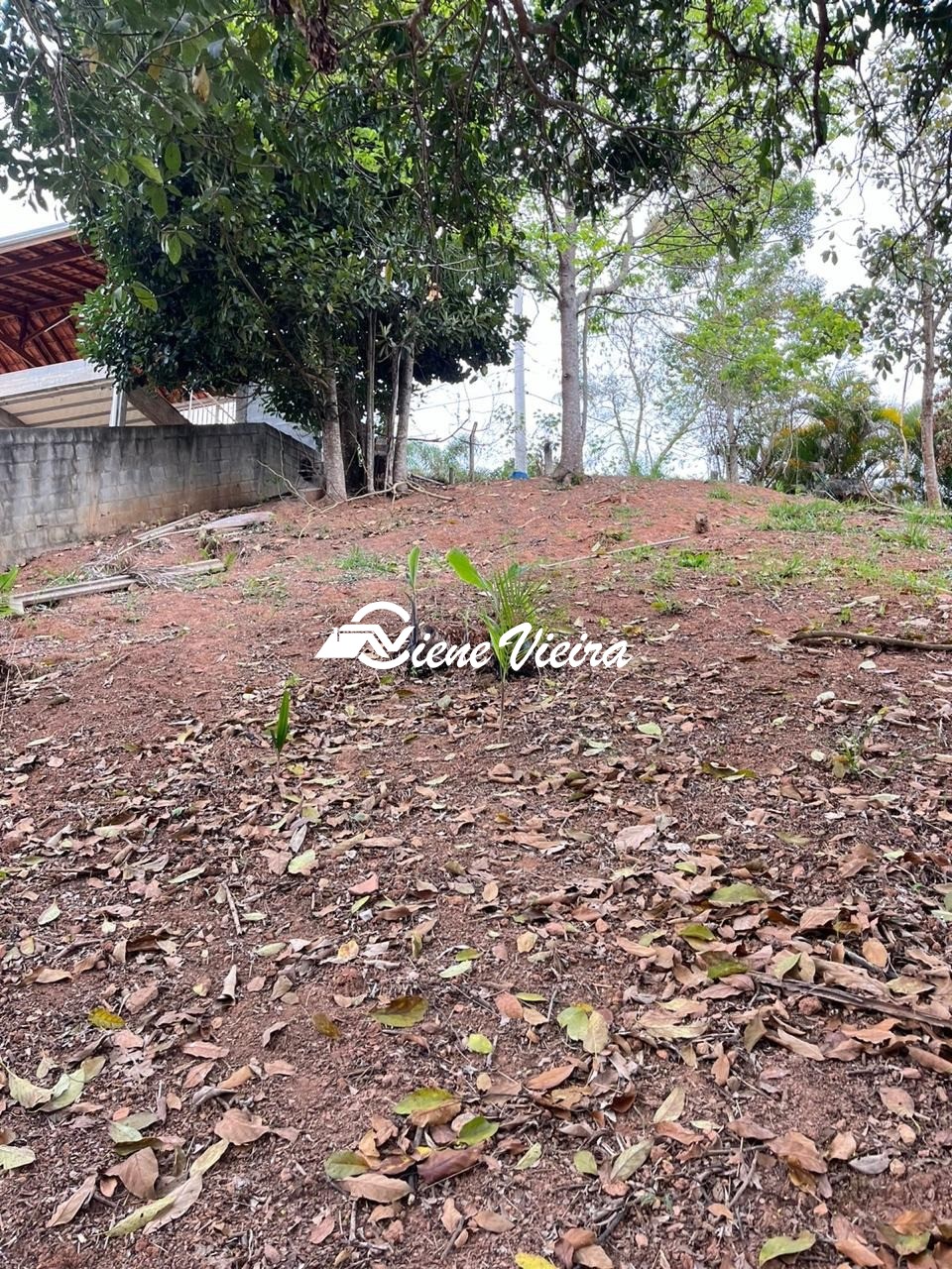 Terreno, 1000 m² - Foto 4