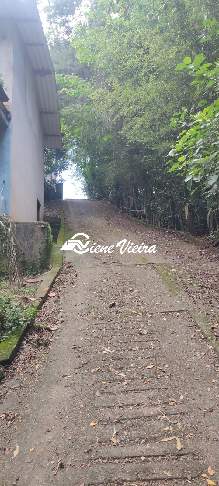 Chácara, 3 quartos, 6000 m² - Foto 17
