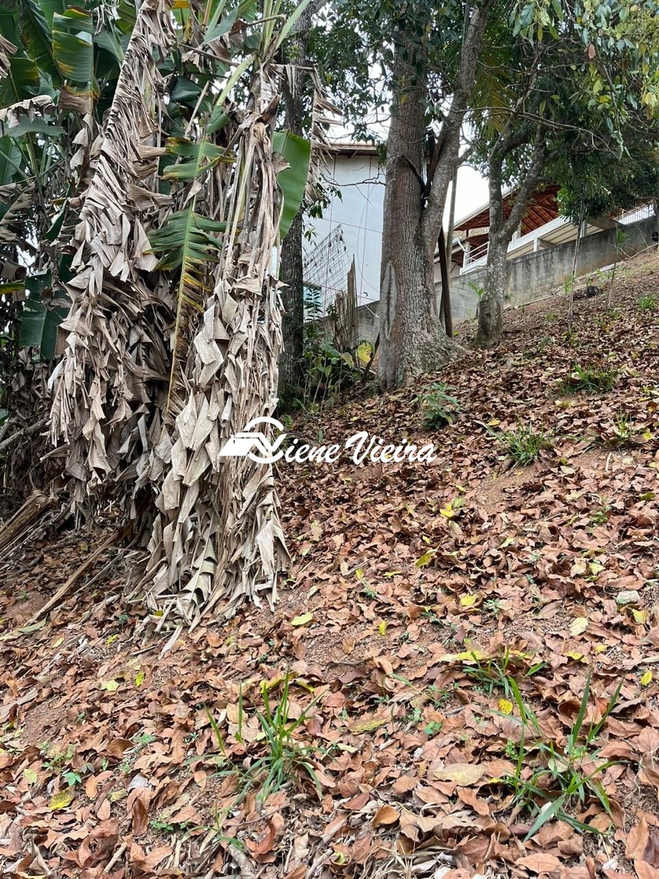 Terreno, 1000 m² - Foto 6